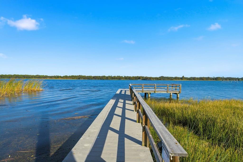 10534 LAKE SEMINOLE TER, SEMINOLE, FL, 33772