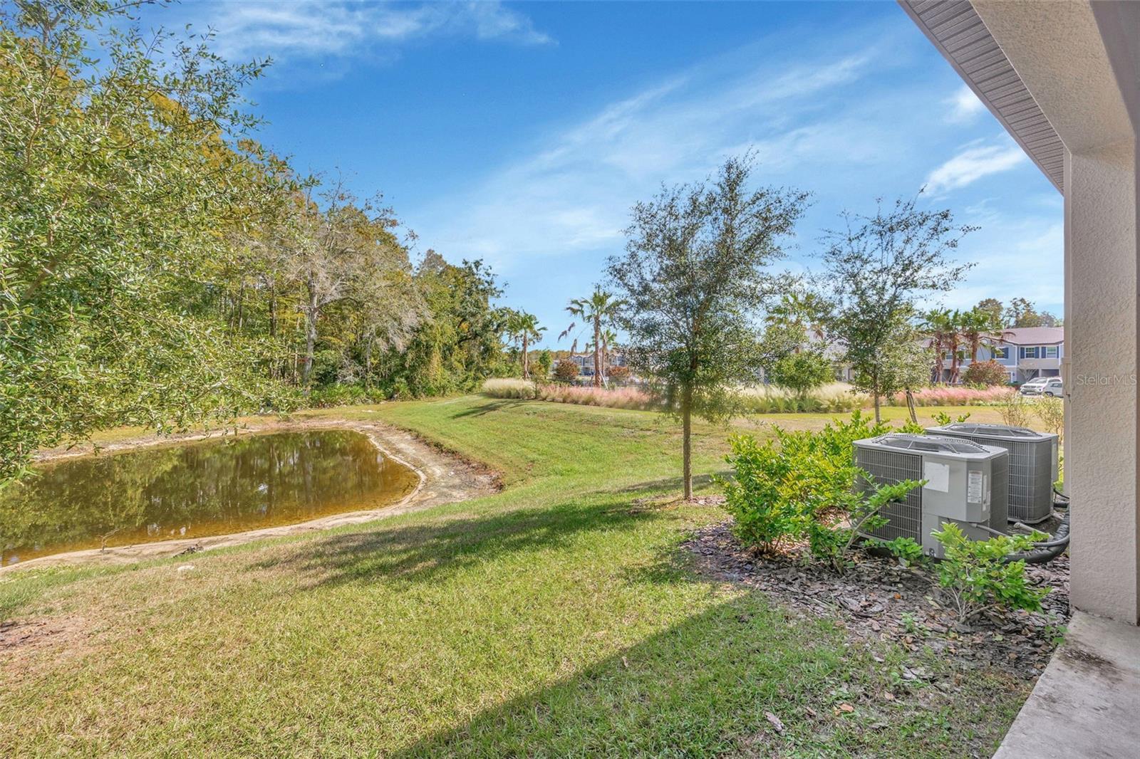 17581 NECTAR FLUME DR, LAND O LAKES, FL, 34638