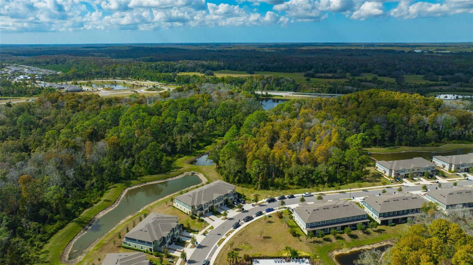 17581 NECTAR FLUME DR, LAND O LAKES, FL, 34638