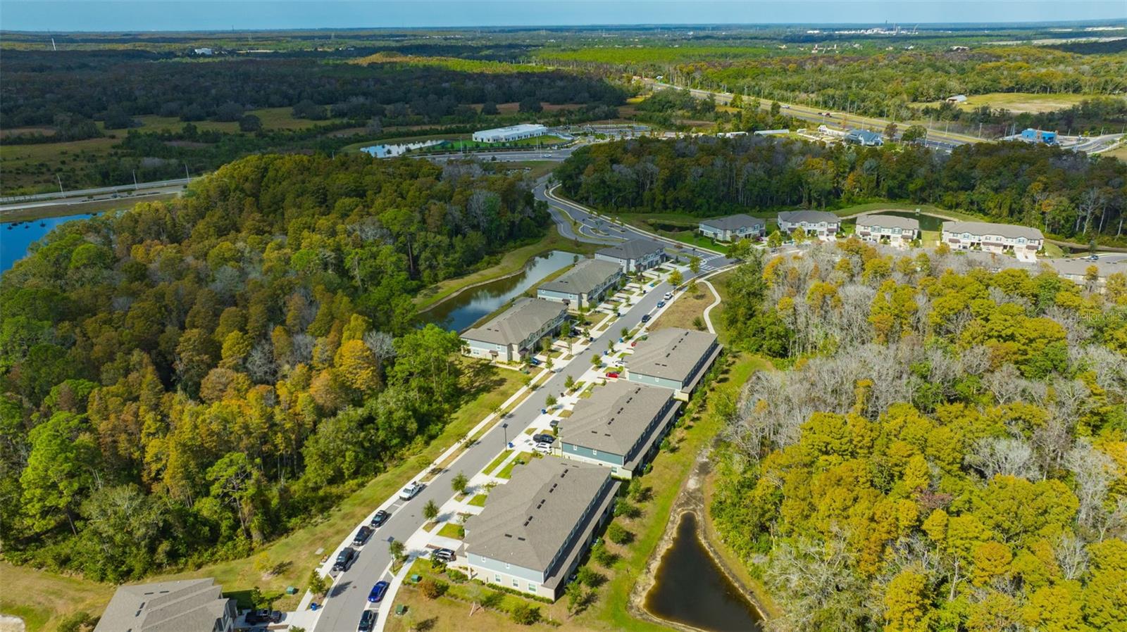 17581 NECTAR FLUME DR, LAND O LAKES, FL, 34638