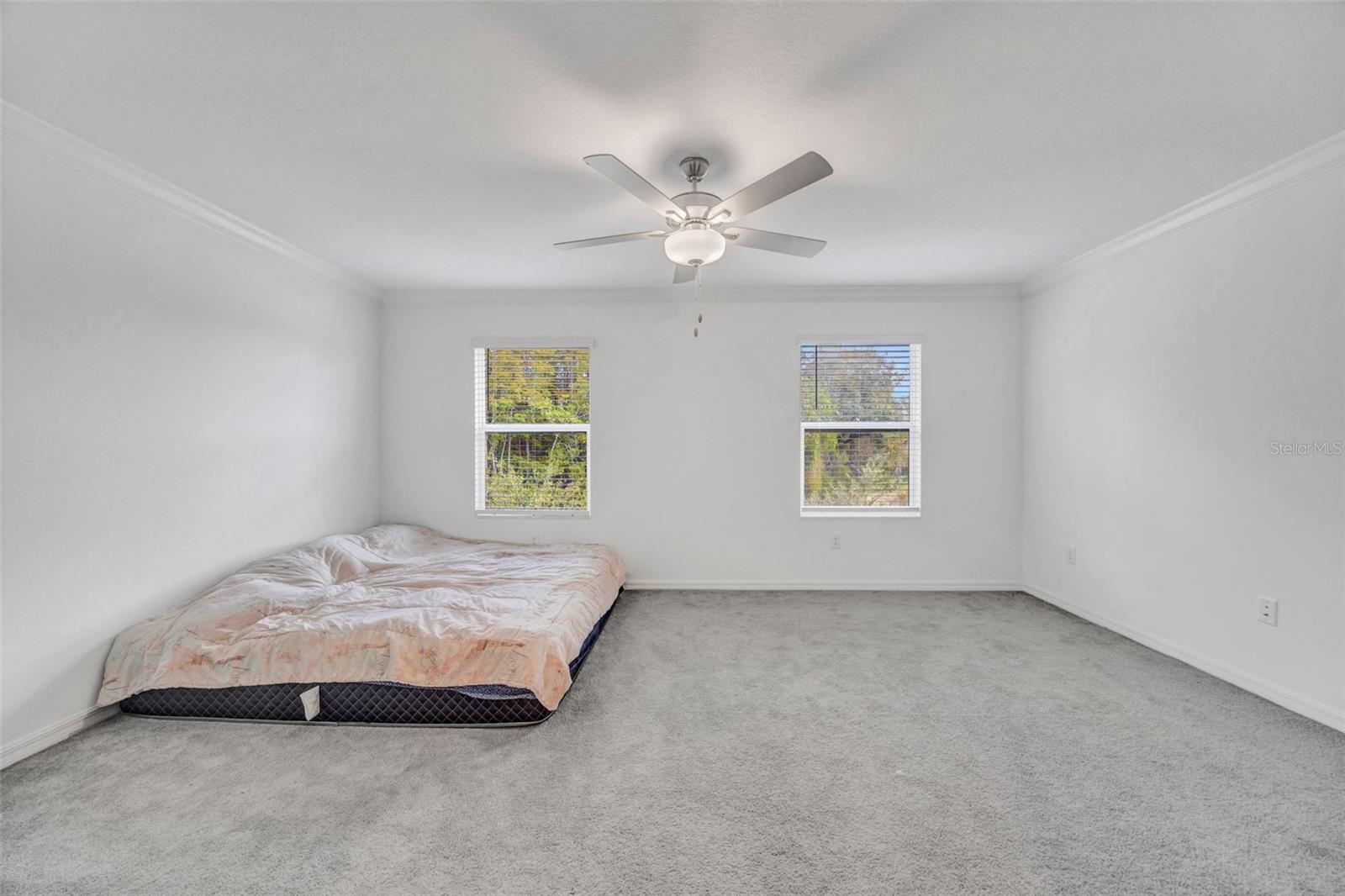 17581 NECTAR FLUME DR, LAND O LAKES, FL, 34638