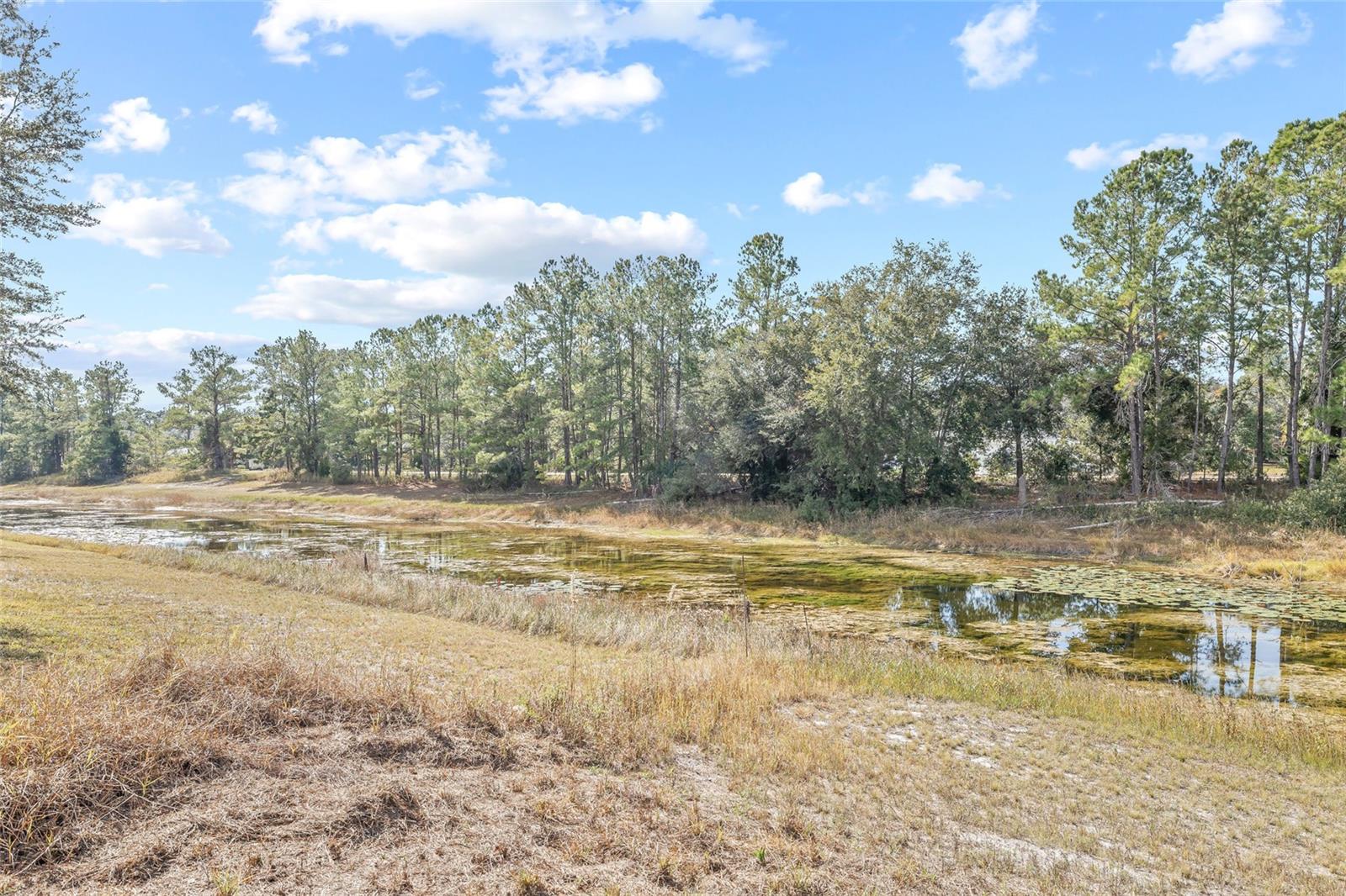 11040 FULTON AVE, WEEKI WACHEE, FL, 34613