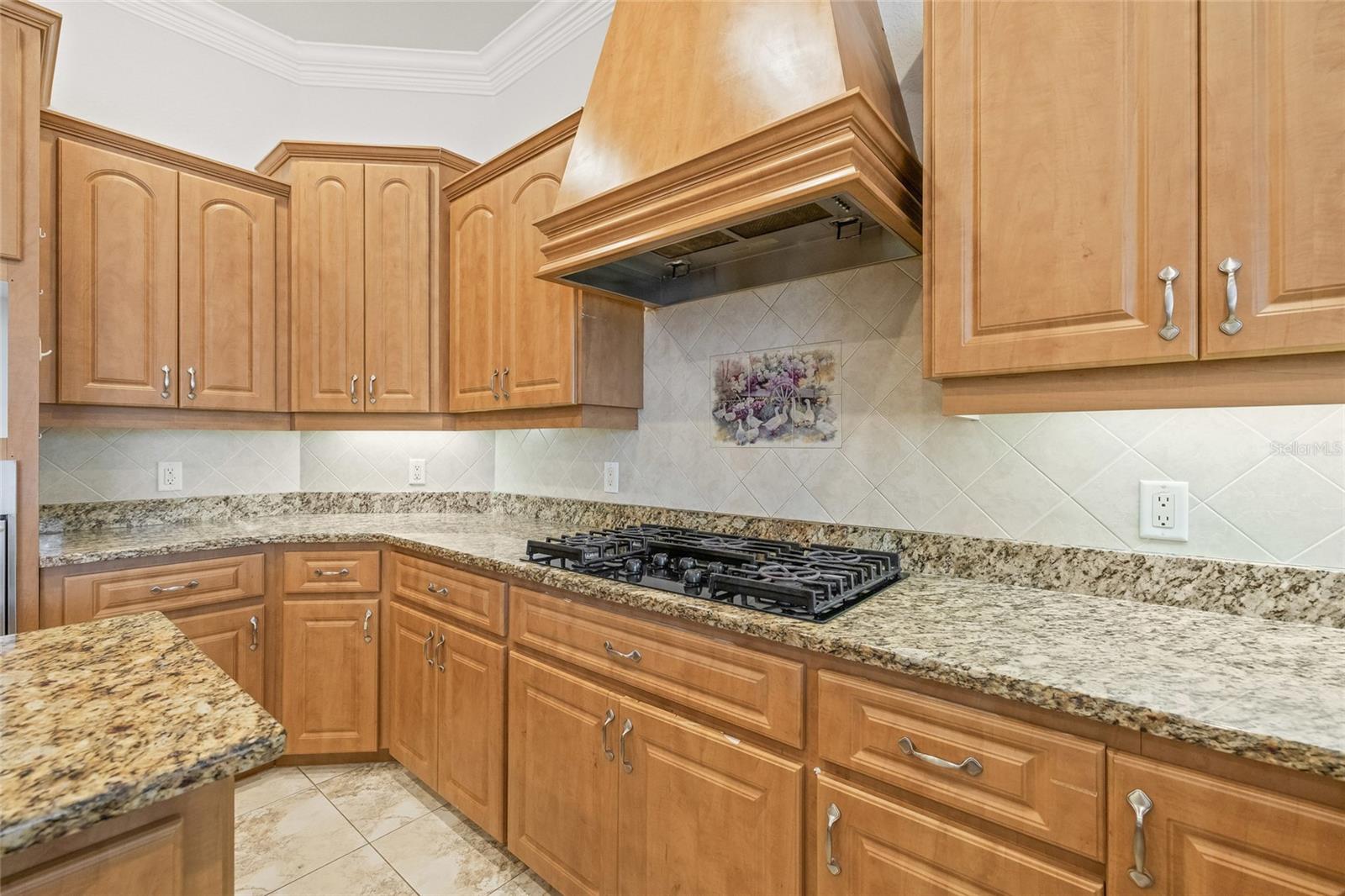 11040 FULTON AVE, WEEKI WACHEE, FL, 34613