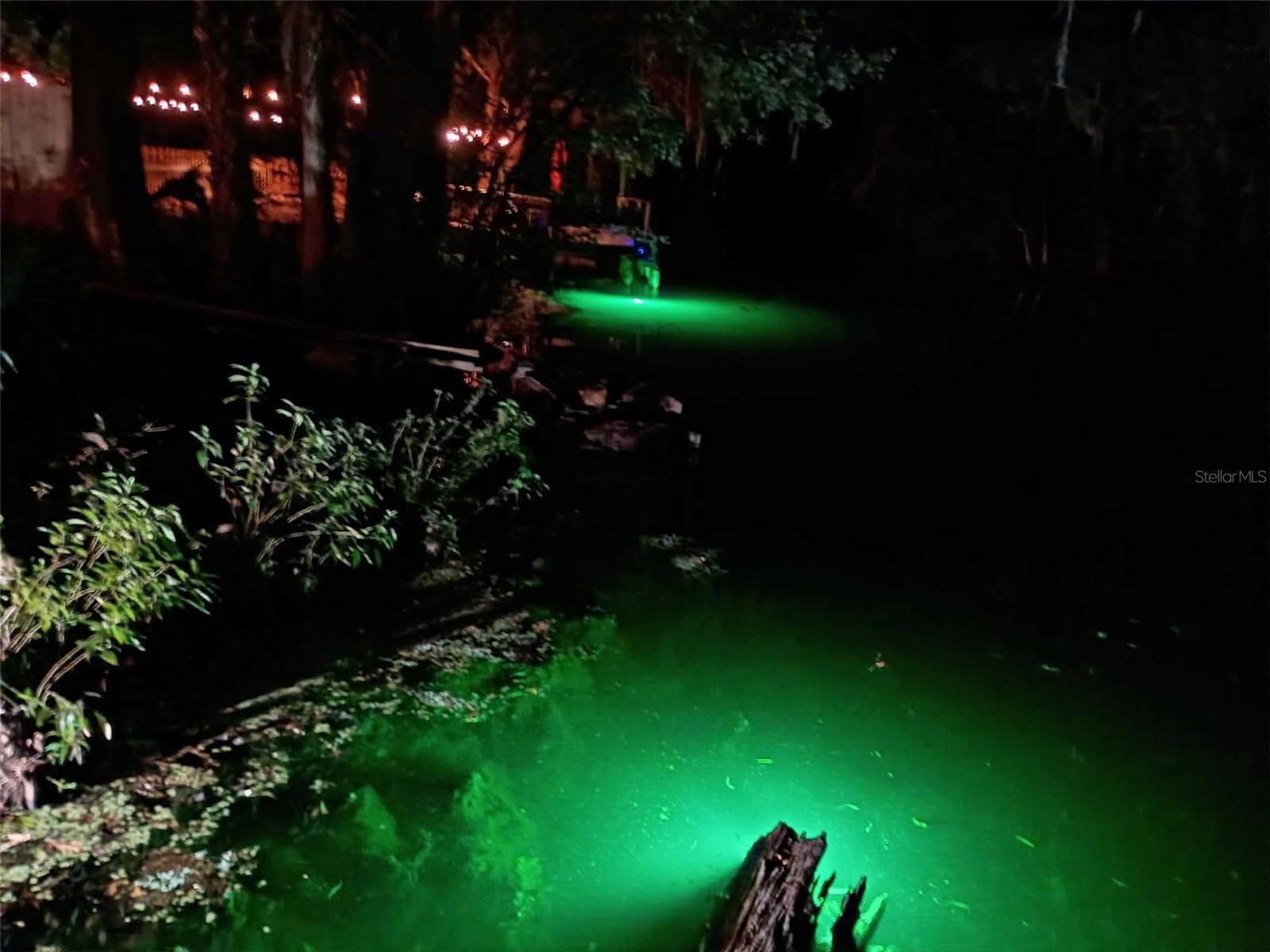 11670 CHEROKEE CIR, DUNNELLON, FL, 34431