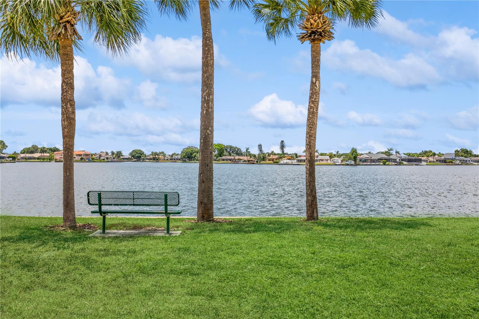 10426 LA MIRAGE CT, TAMPA, FL, 33615