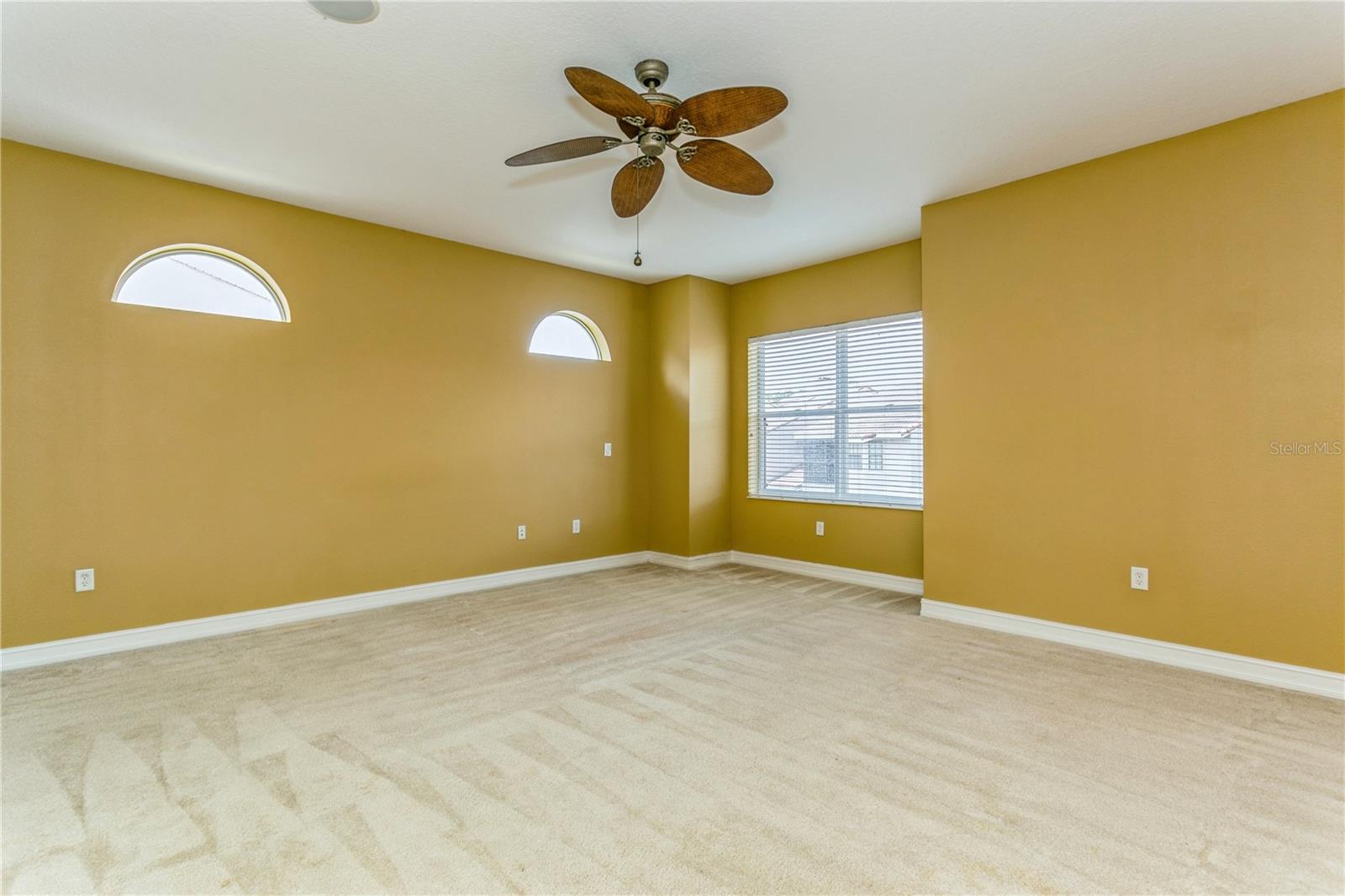 10426 LA MIRAGE CT, TAMPA, FL, 33615