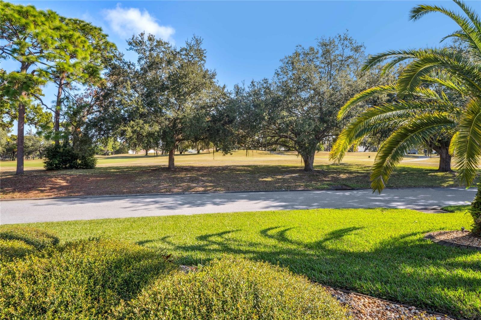 9298 GRAND CYPRESS DR, WEEKI WACHEE, FL, 34613