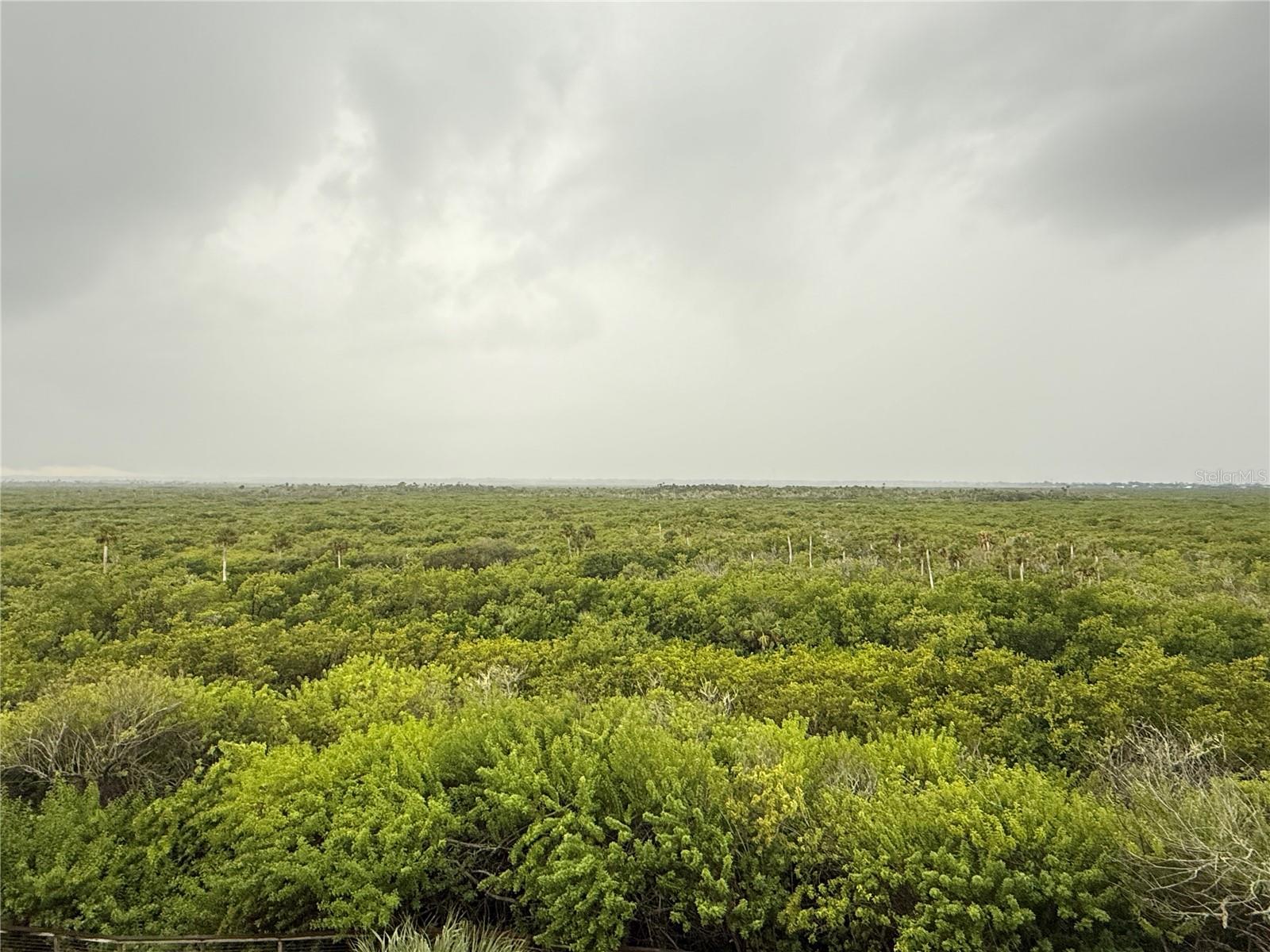 5300 S ATLANTIC AVE #18-503, NEW SMYRNA BEACH, FL, 32169