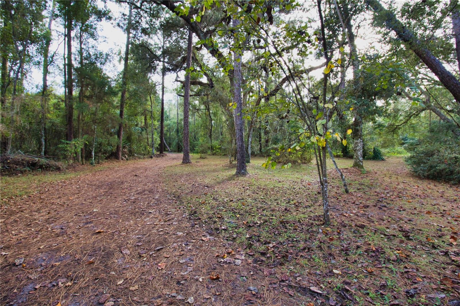 2498 SATURN RD, BROOKSVILLE, FL, 34604