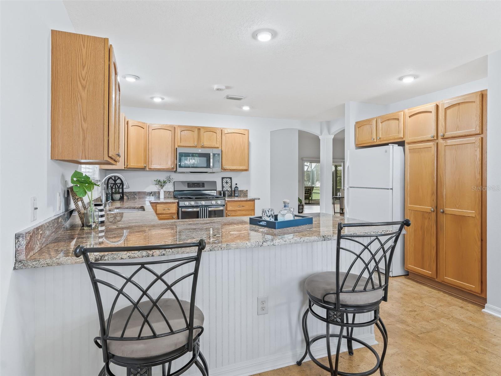 17979 SE 89TH ROTHWAY CT, THE VILLAGES, FL, 32162