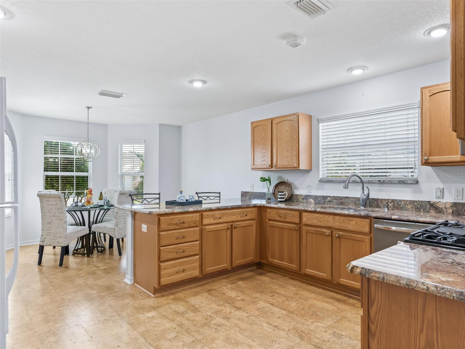 17979 SE 89TH ROTHWAY CT, THE VILLAGES, FL, 32162