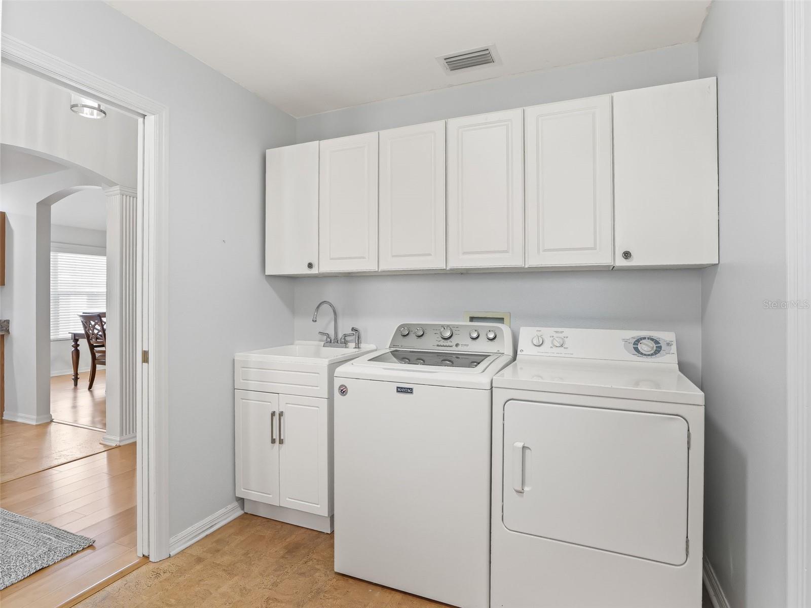 17979 SE 89TH ROTHWAY CT, THE VILLAGES, FL, 32162