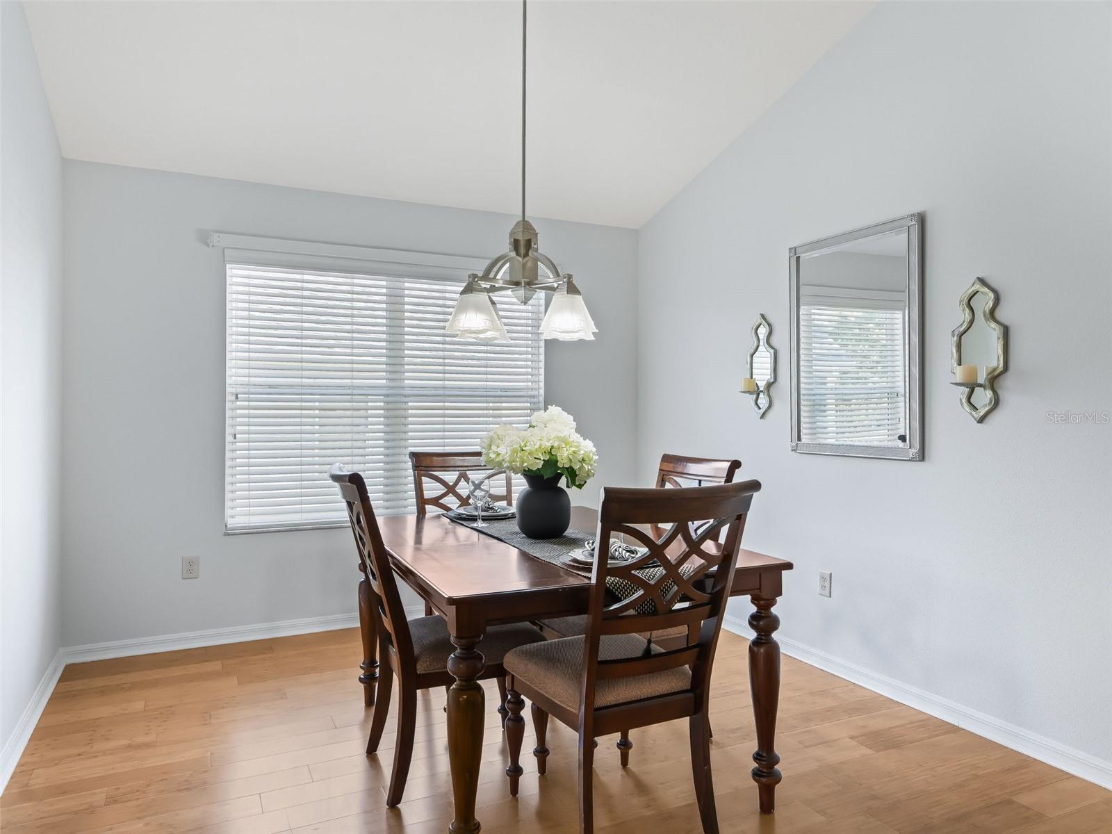 17979 SE 89TH ROTHWAY CT, THE VILLAGES, FL, 32162