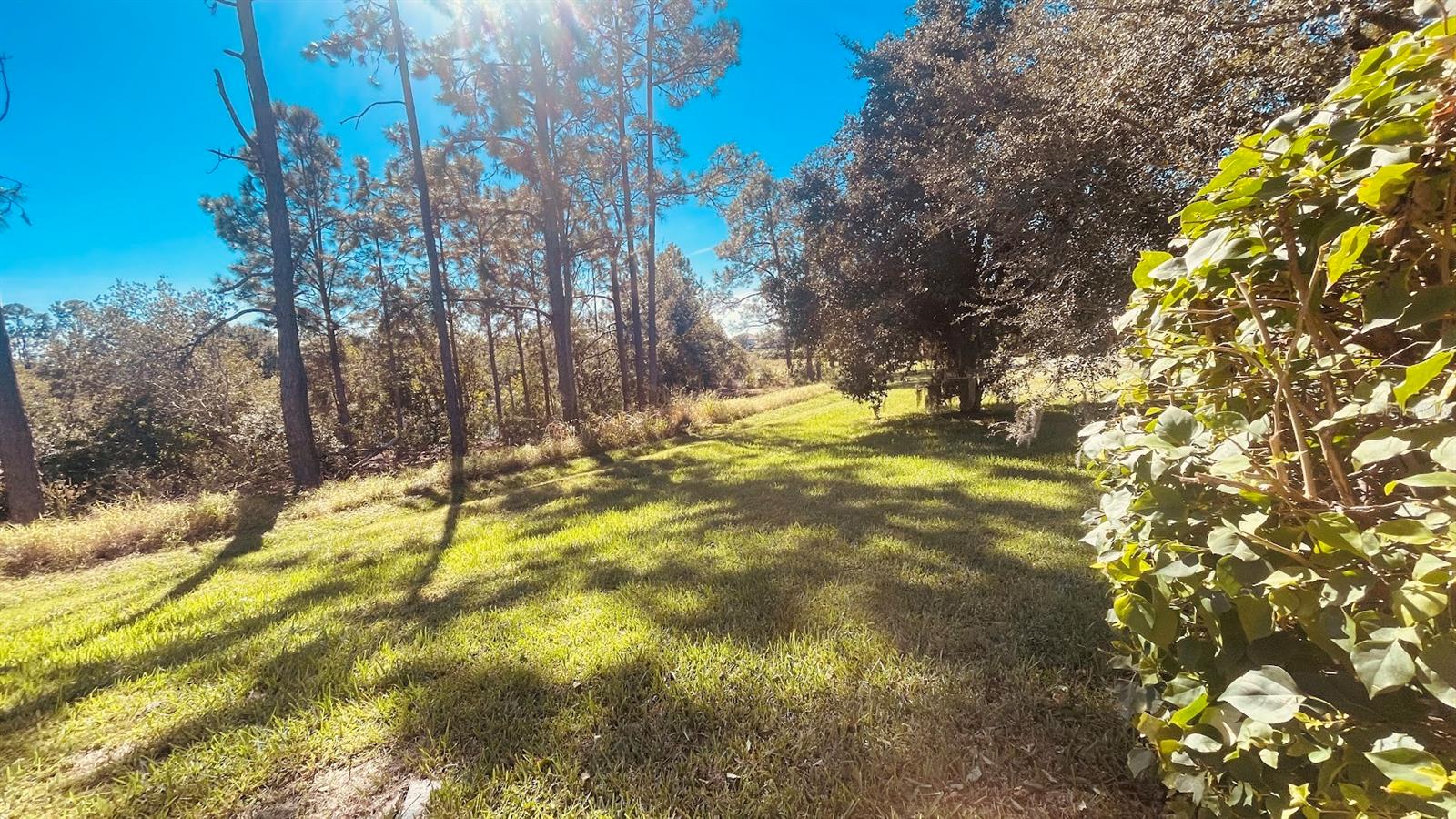 9157 LEELAND ARCHER BLVD, ORLANDO, FL, 32836