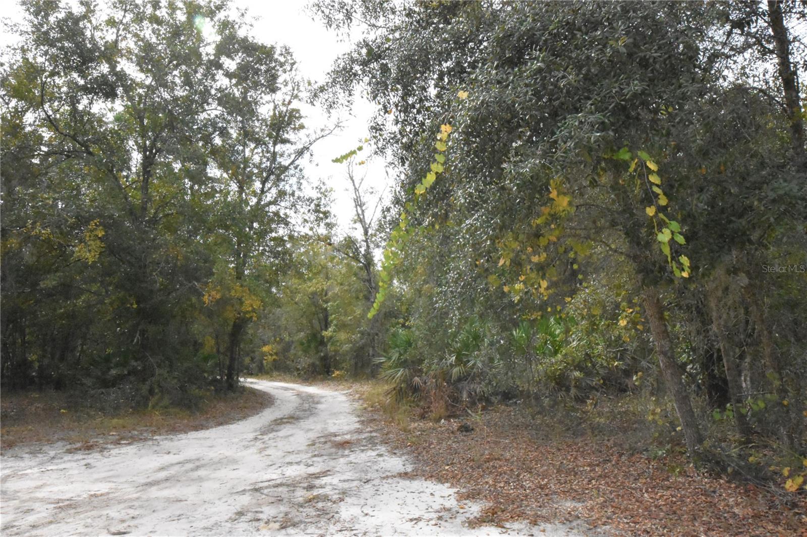 126 TERRELL ST, INTERLACHEN, FL, 32148