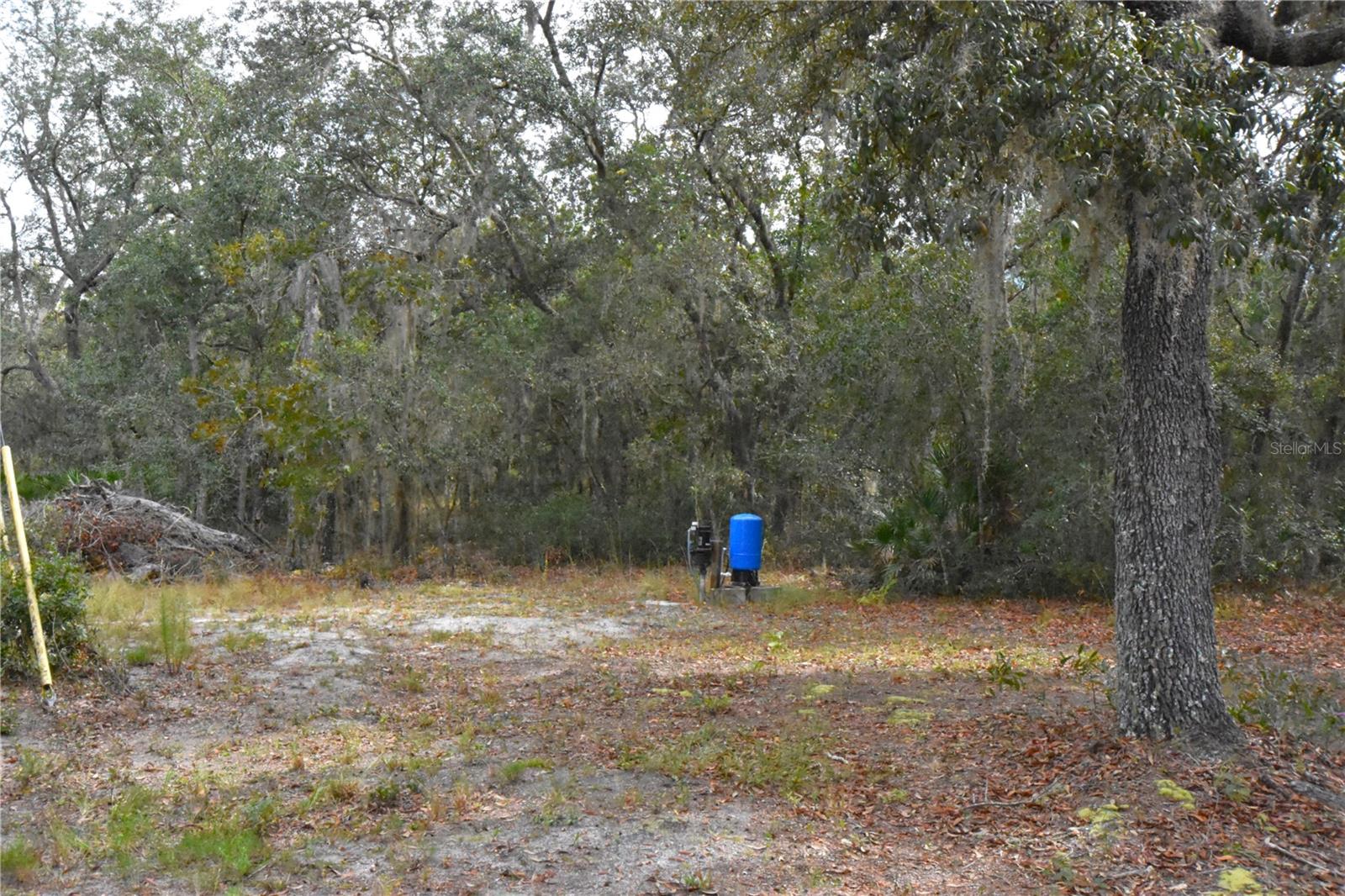 126 TERRELL ST, INTERLACHEN, FL, 32148