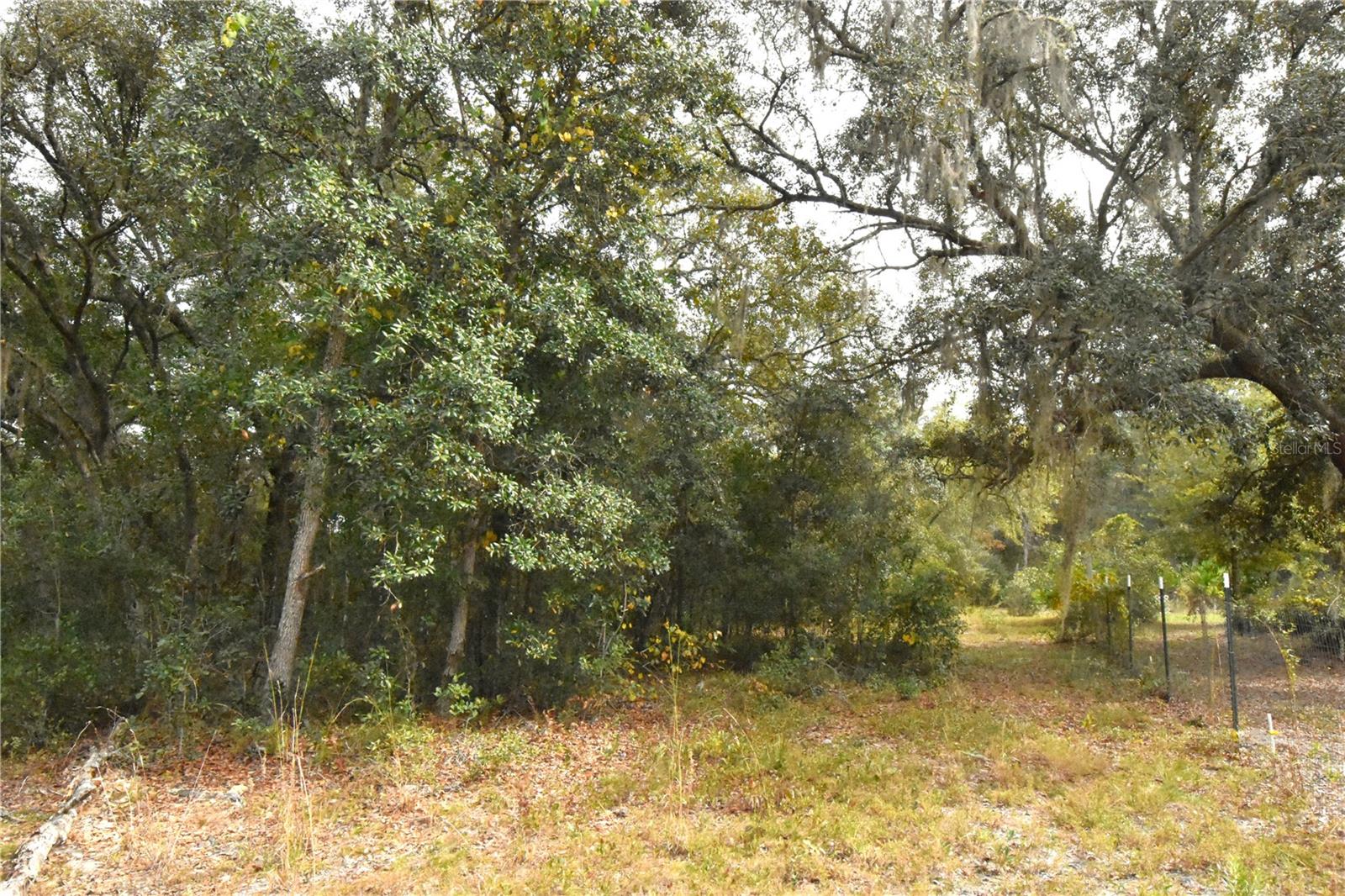 126 TERRELL ST, INTERLACHEN, FL, 32148