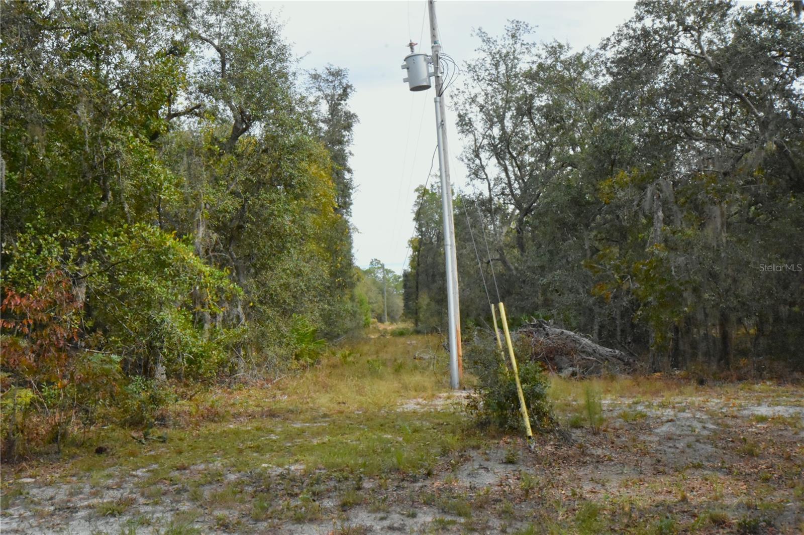 126 TERRELL ST, INTERLACHEN, FL, 32148