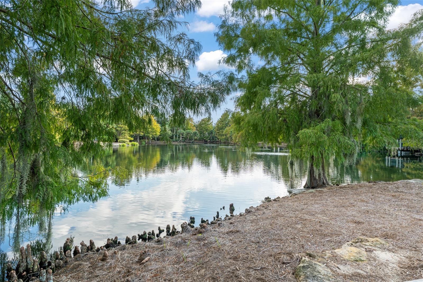 O6359789 Property Photo