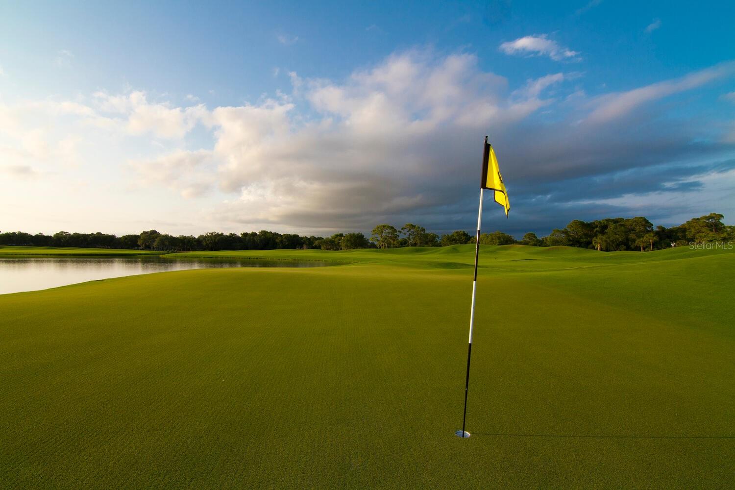 A4671762 Property Photo