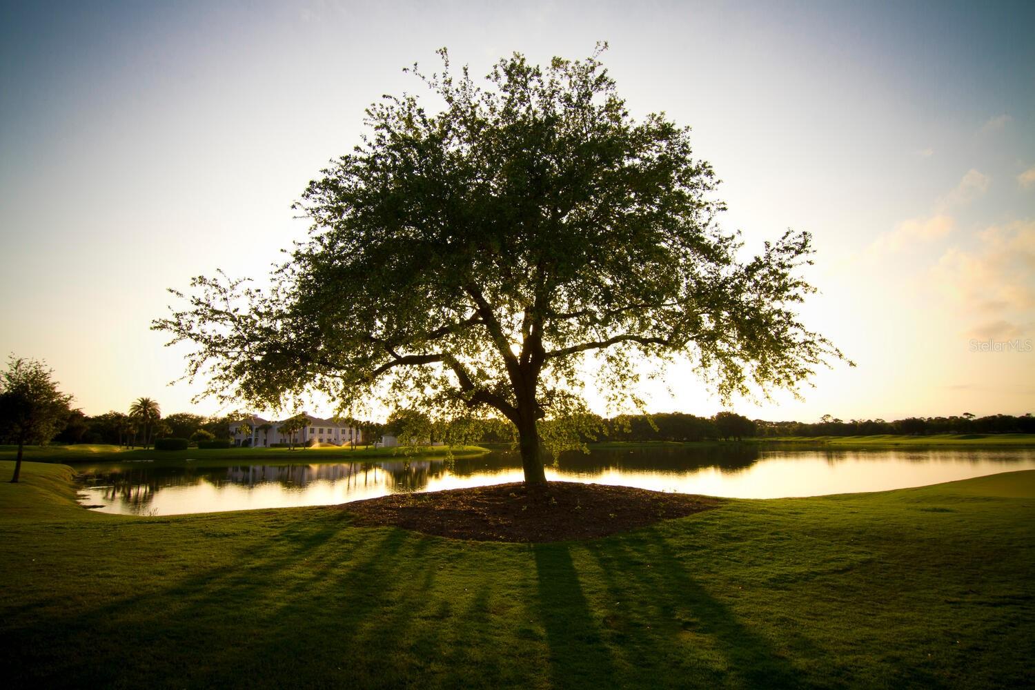 A4671762 Property Photo