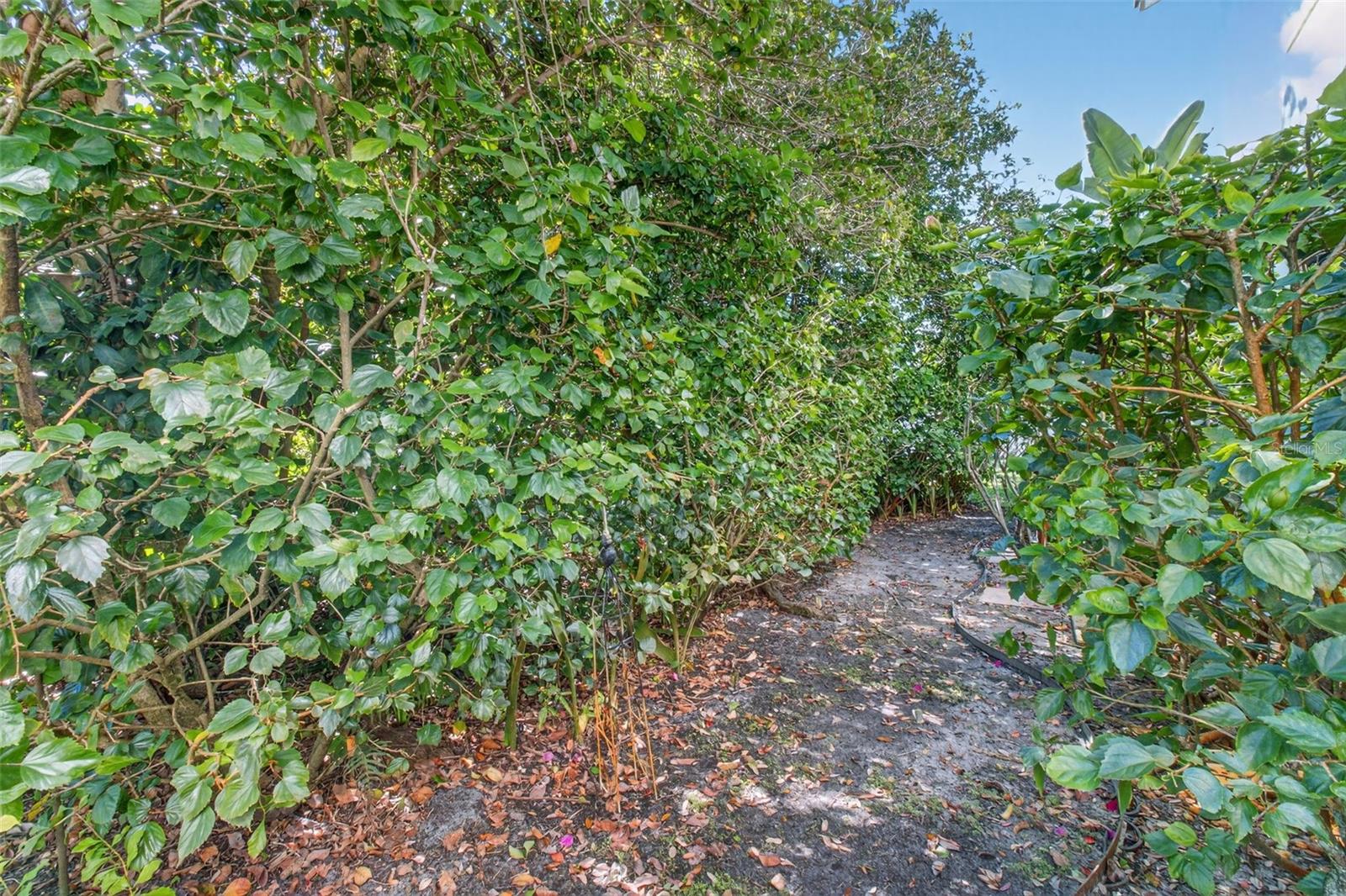 1858 LAKE CYPRESS DR, SAFETY HARBOR, FL, 34695