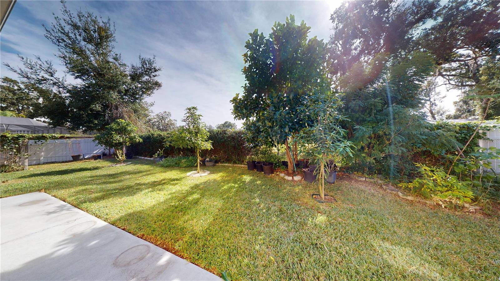 2523 BONTERRA BLVD, VALRICO, FL, 33594