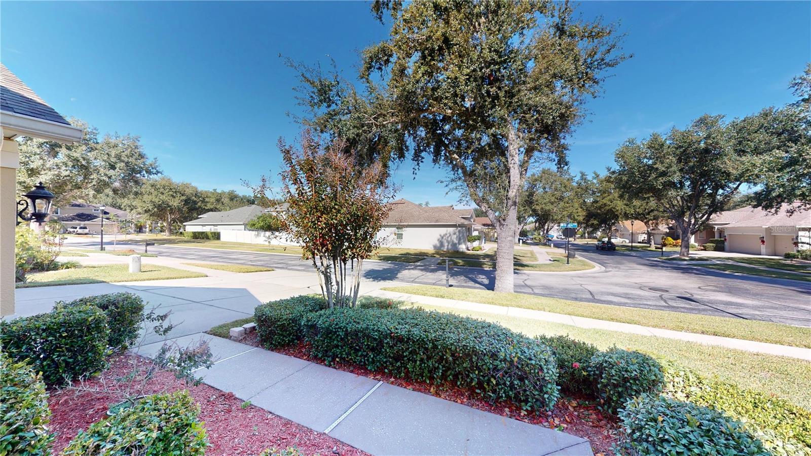 2523 BONTERRA BLVD, VALRICO, FL, 33594