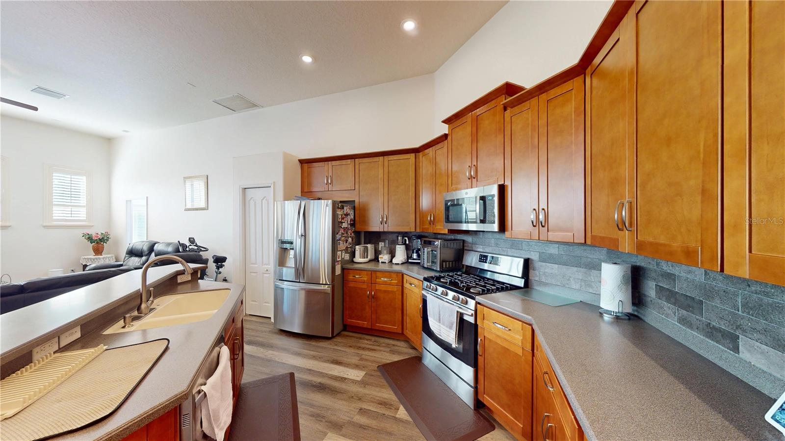 2523 BONTERRA BLVD, VALRICO, FL, 33594