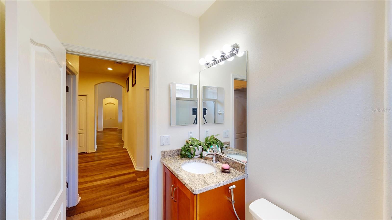 2523 BONTERRA BLVD, VALRICO, FL, 33594