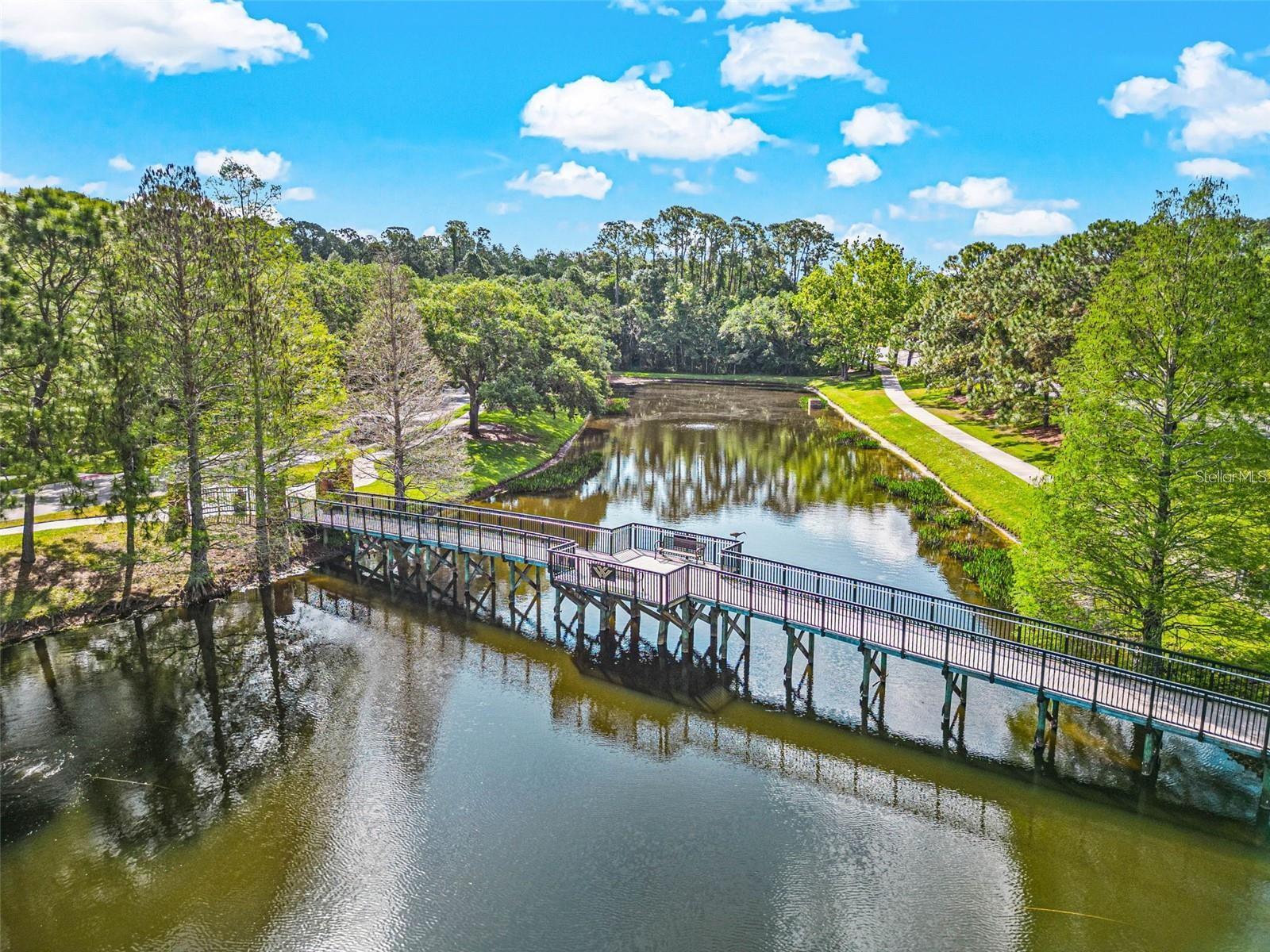 12020 WANDSWORTH DR, TAMPA, FL, 33626