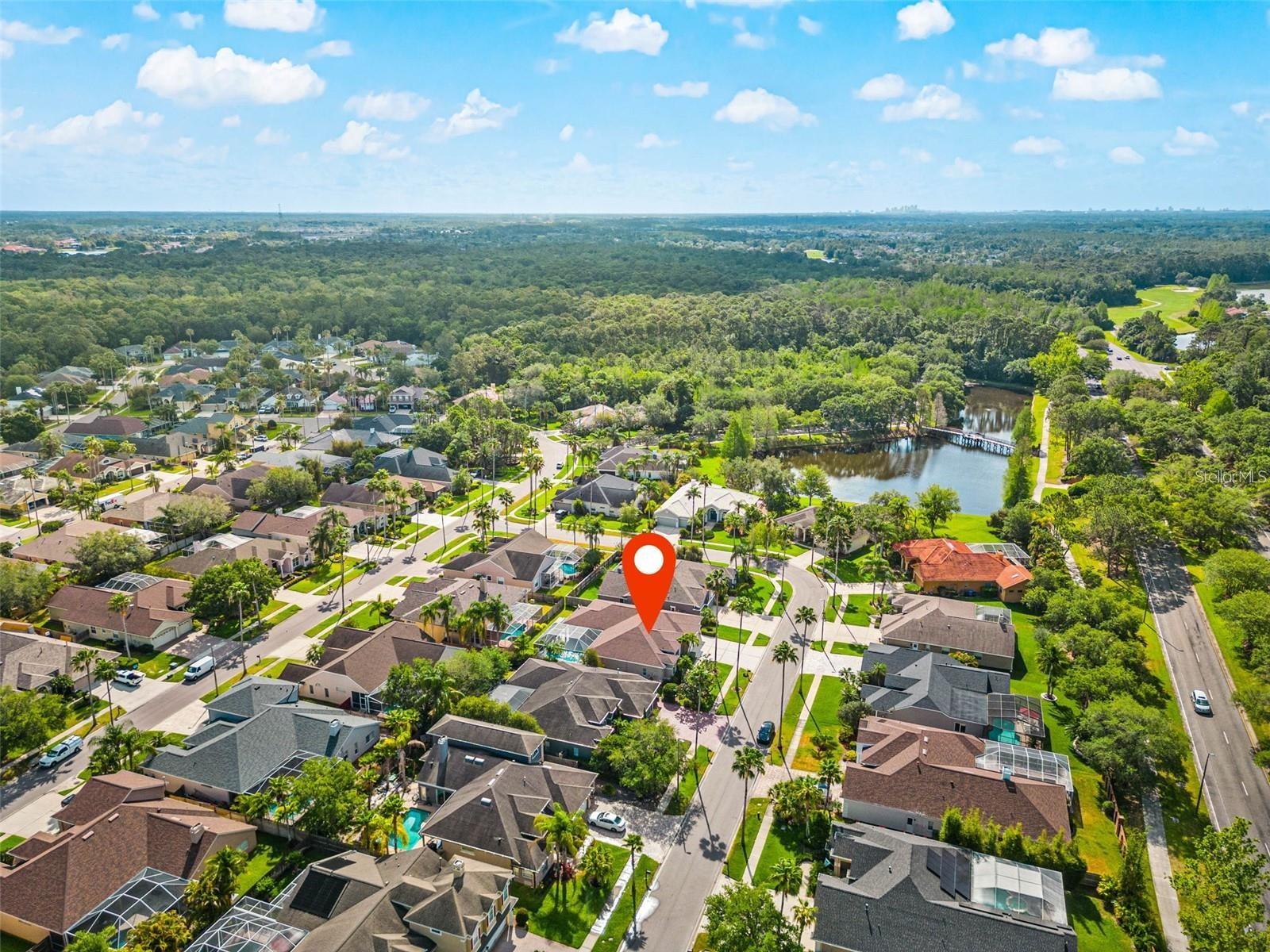 12020 WANDSWORTH DR, TAMPA, FL, 33626