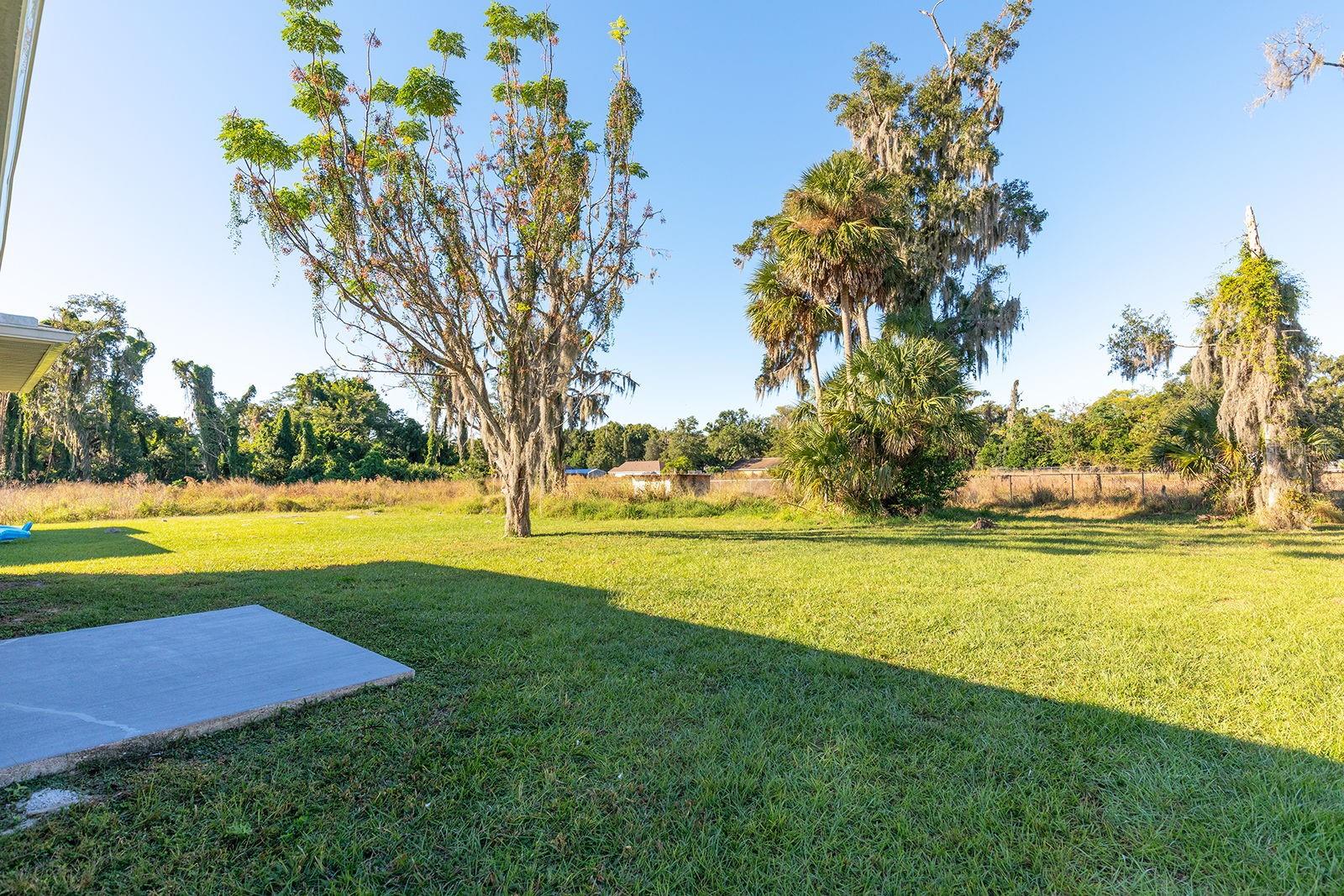 1240 S HIGHLAND AVE, APOPKA, FL, 32703