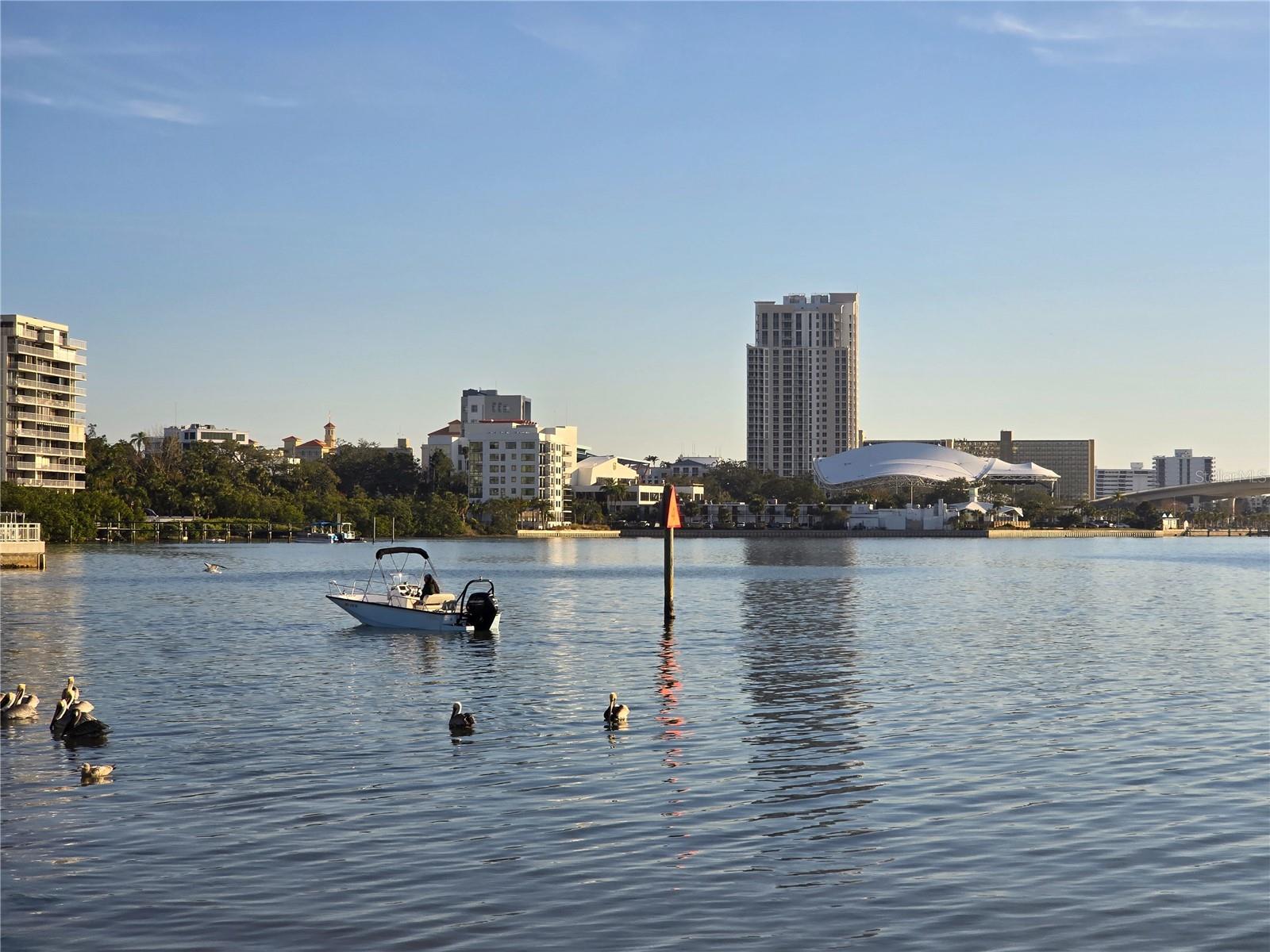 1822 SYLVAN DR, CLEARWATER, FL, 33755