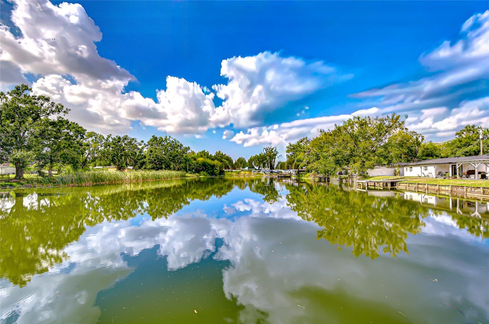 8120 N ALBANY AVE, TAMPA, FL, 33604