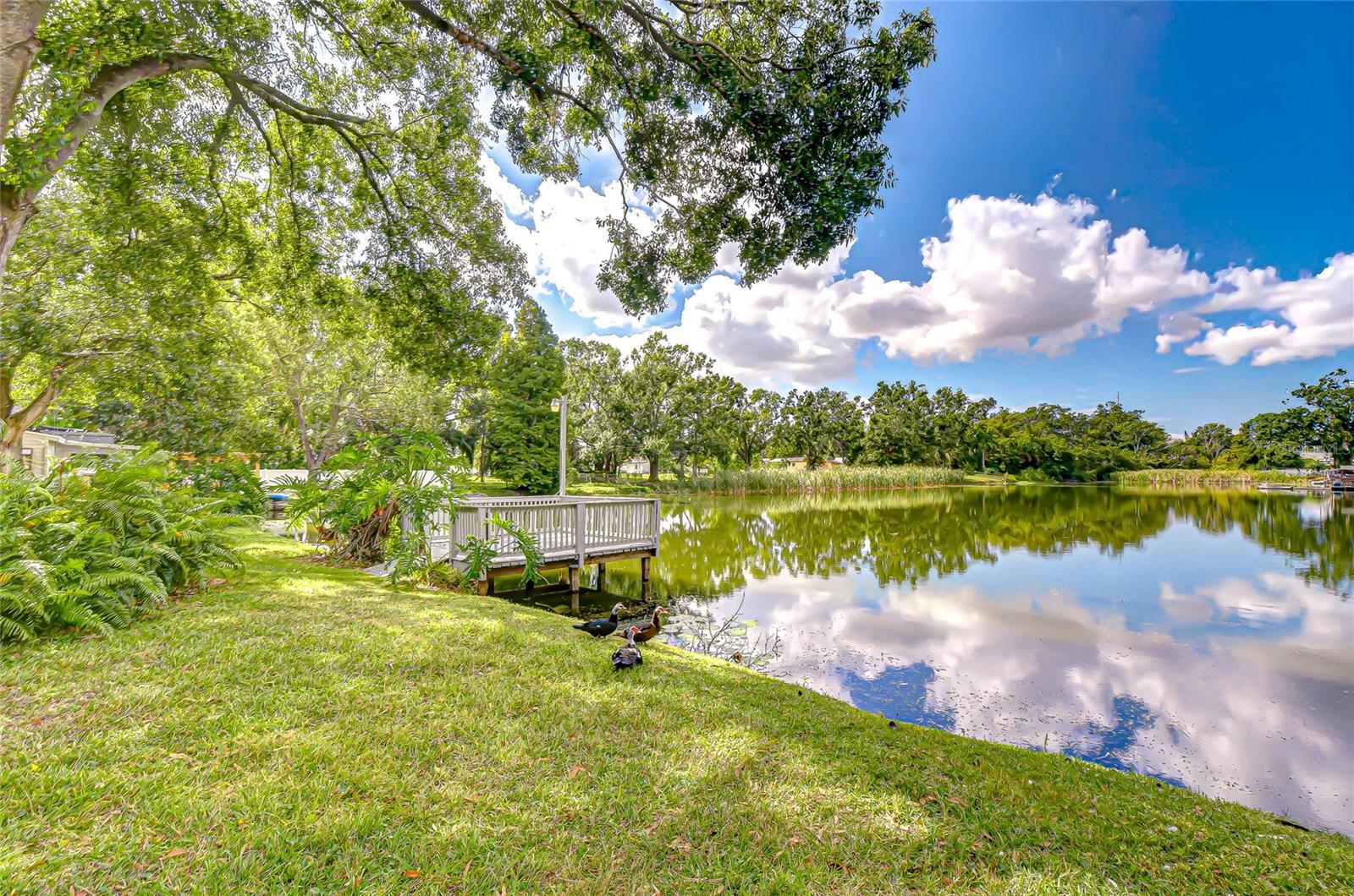 8120 N ALBANY AVE, TAMPA, FL, 33604