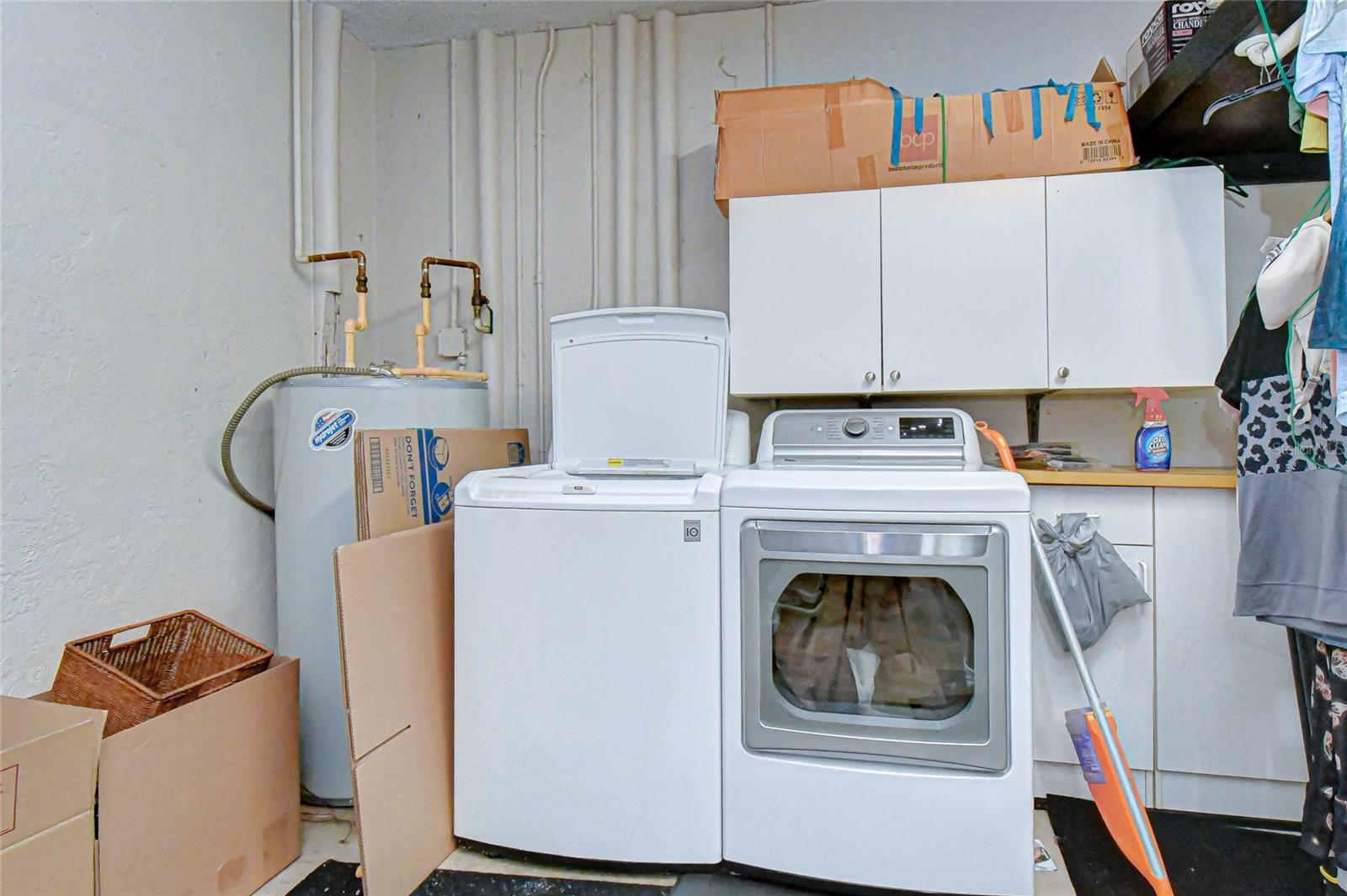 8120 N ALBANY AVE, TAMPA, FL, 33604