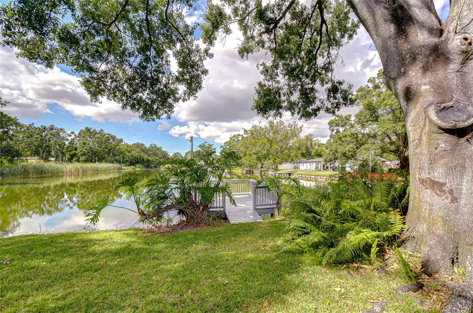 8120 N ALBANY AVE, TAMPA, FL, 33604