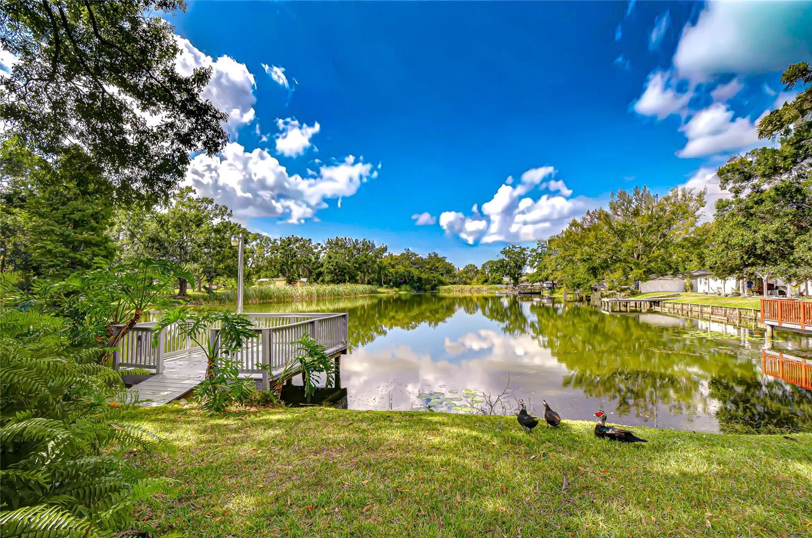 8120 N ALBANY AVE, TAMPA, FL, 33604