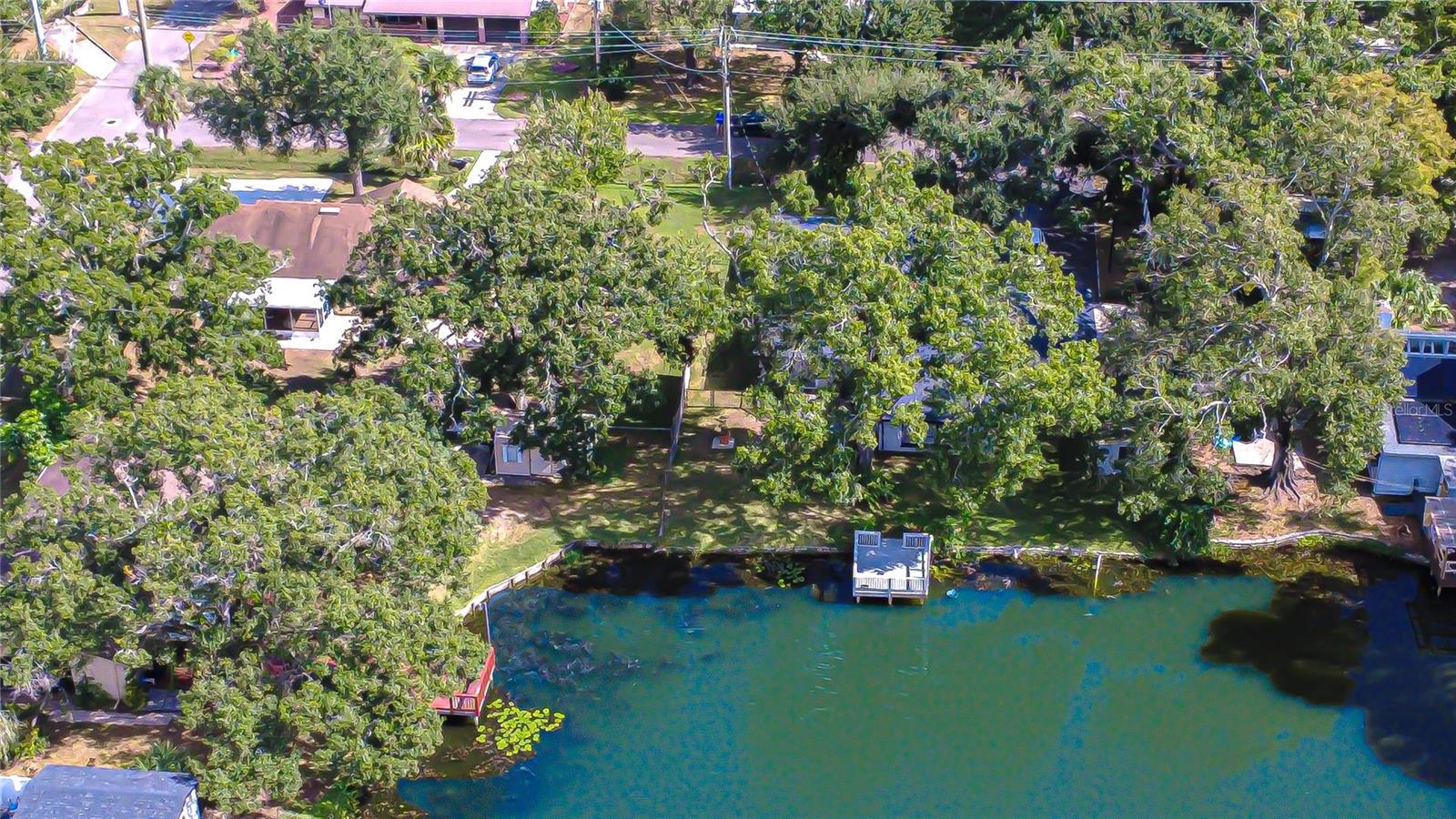 8120 N ALBANY AVE, TAMPA, FL, 33604