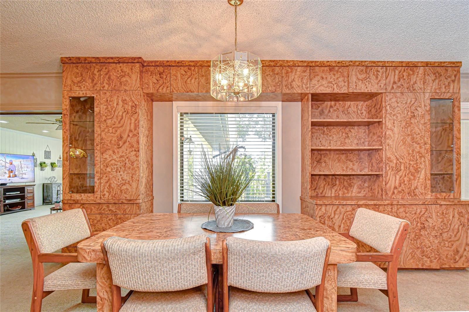 8120 N ALBANY AVE, TAMPA, FL, 33604