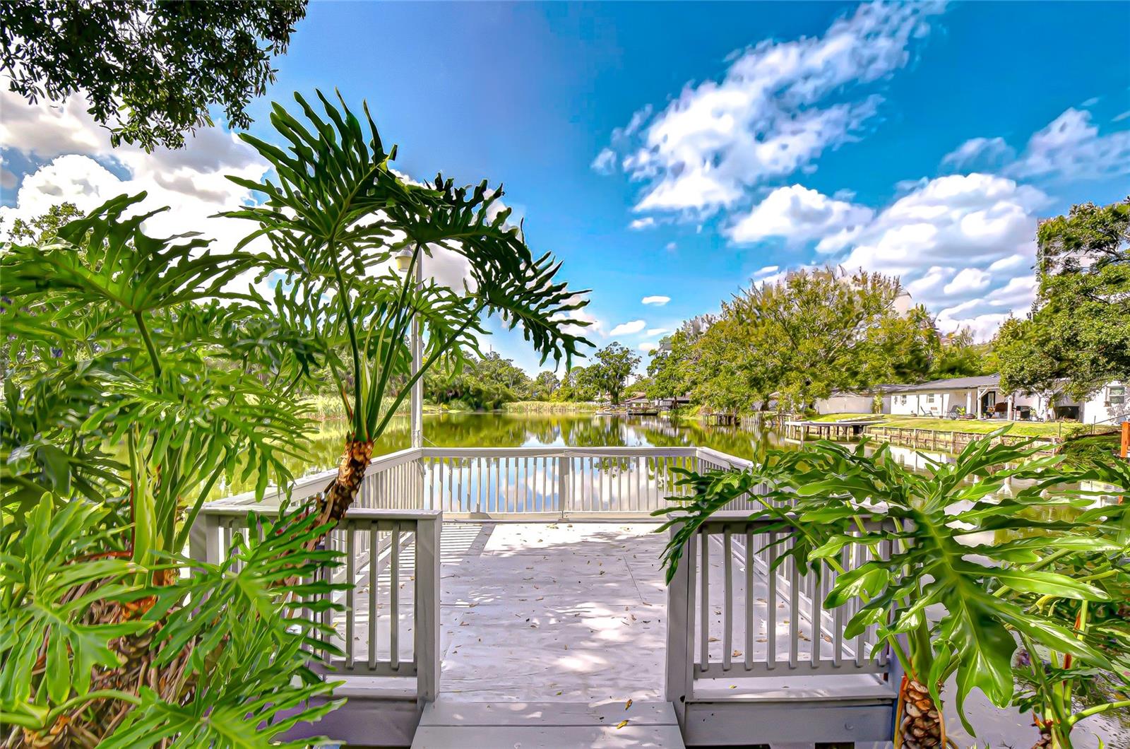 8120 N ALBANY AVE, TAMPA, FL, 33604