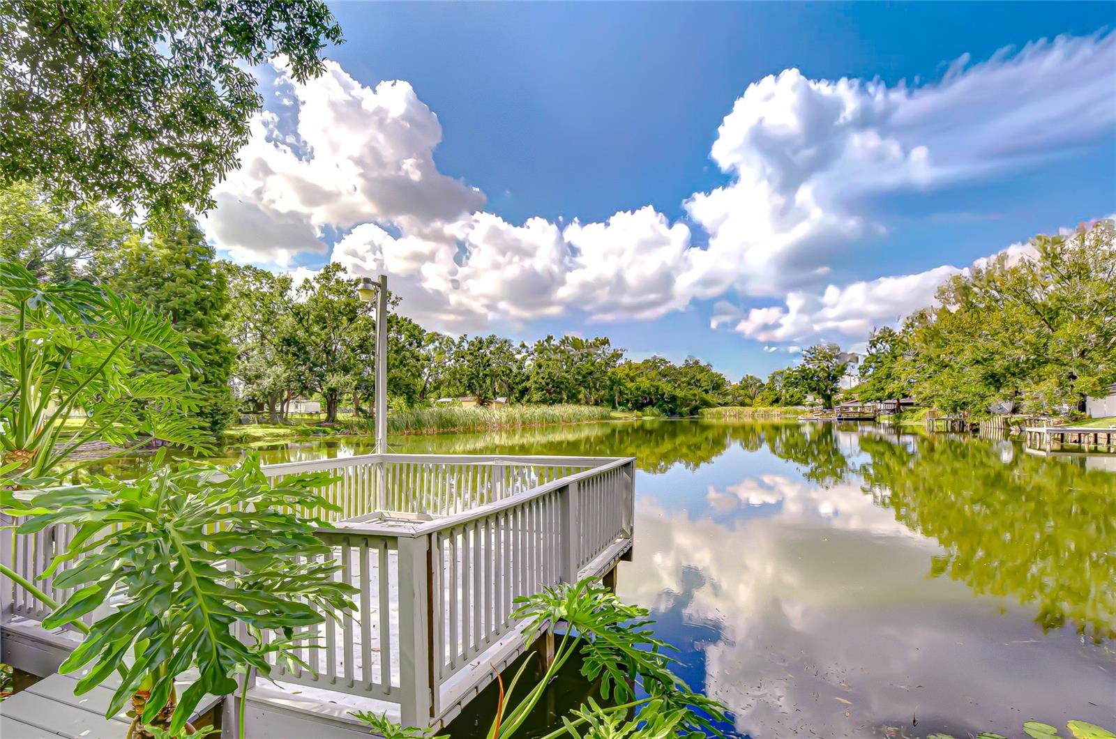 8120 N ALBANY AVE, TAMPA, FL, 33604