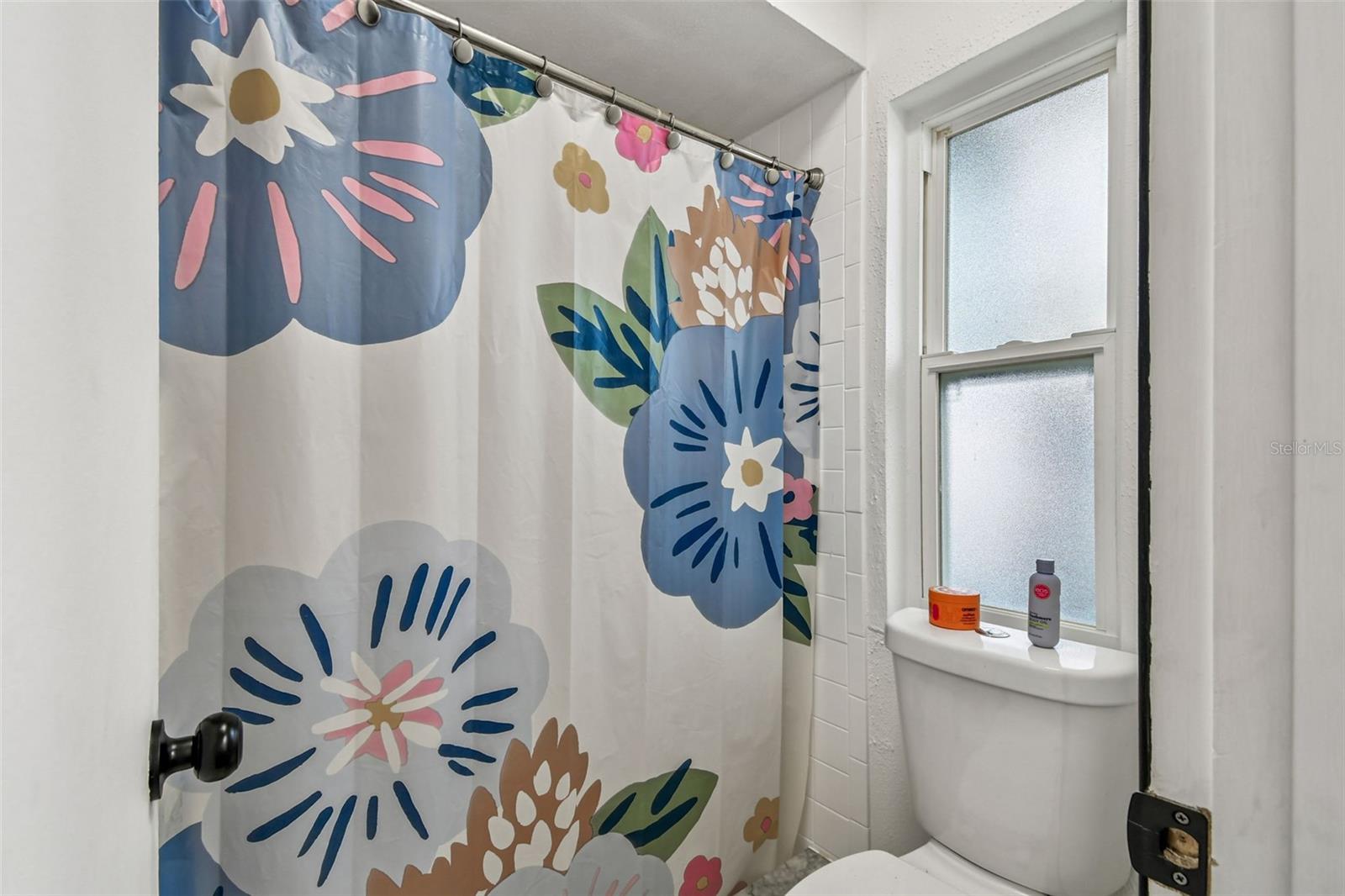 4603 GOLDBUD LN, TAMPA, FL, 33624