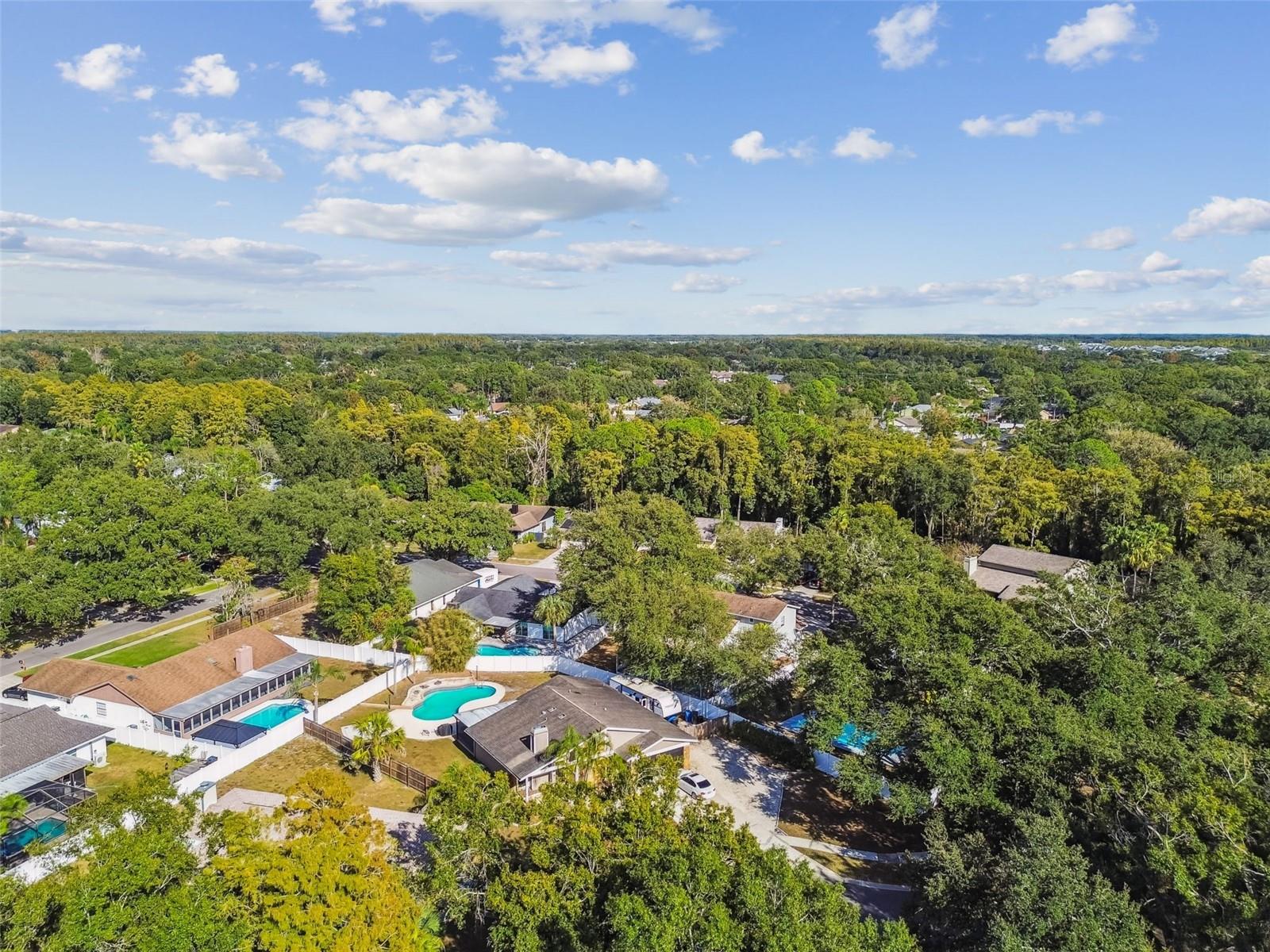 4603 GOLDBUD LN, TAMPA, FL, 33624