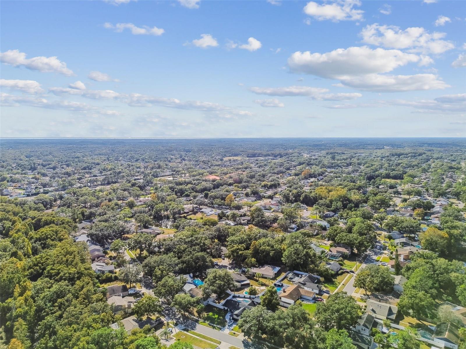 4603 GOLDBUD LN, TAMPA, FL, 33624