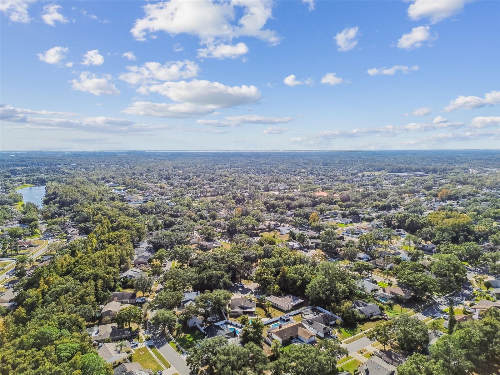 4603 GOLDBUD LN, TAMPA, FL, 33624