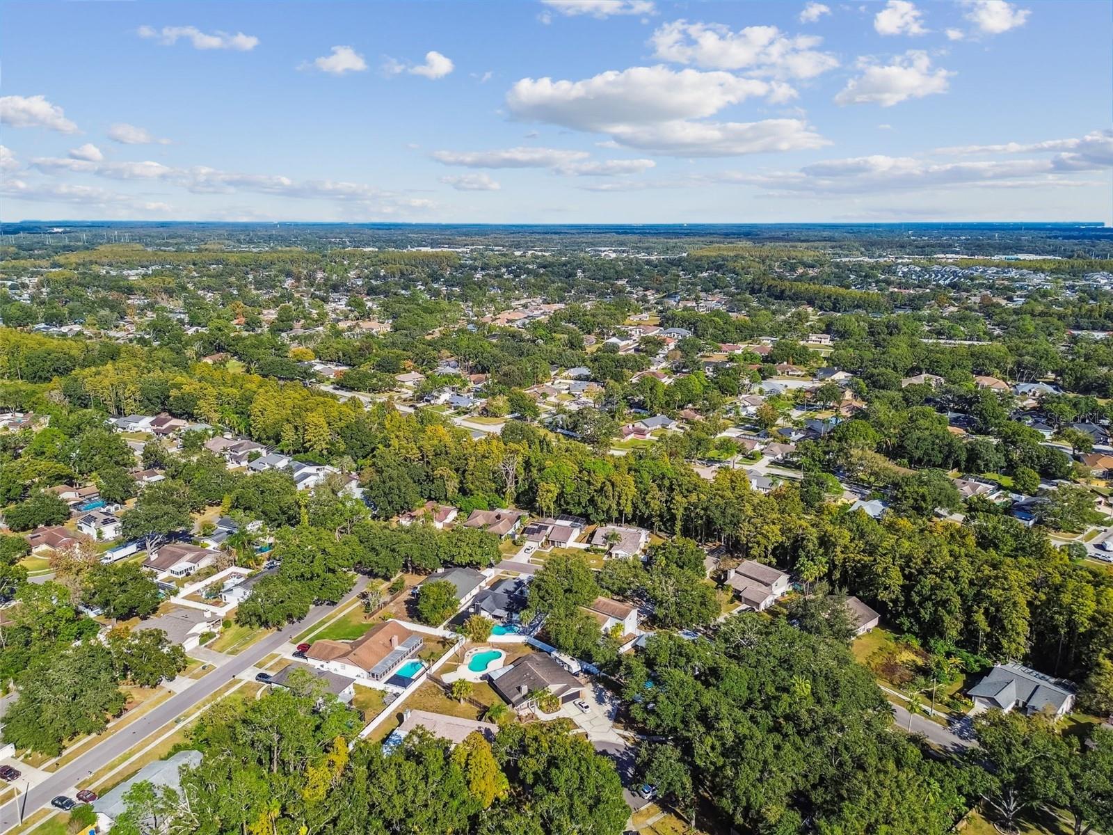 4603 GOLDBUD LN, TAMPA, FL, 33624