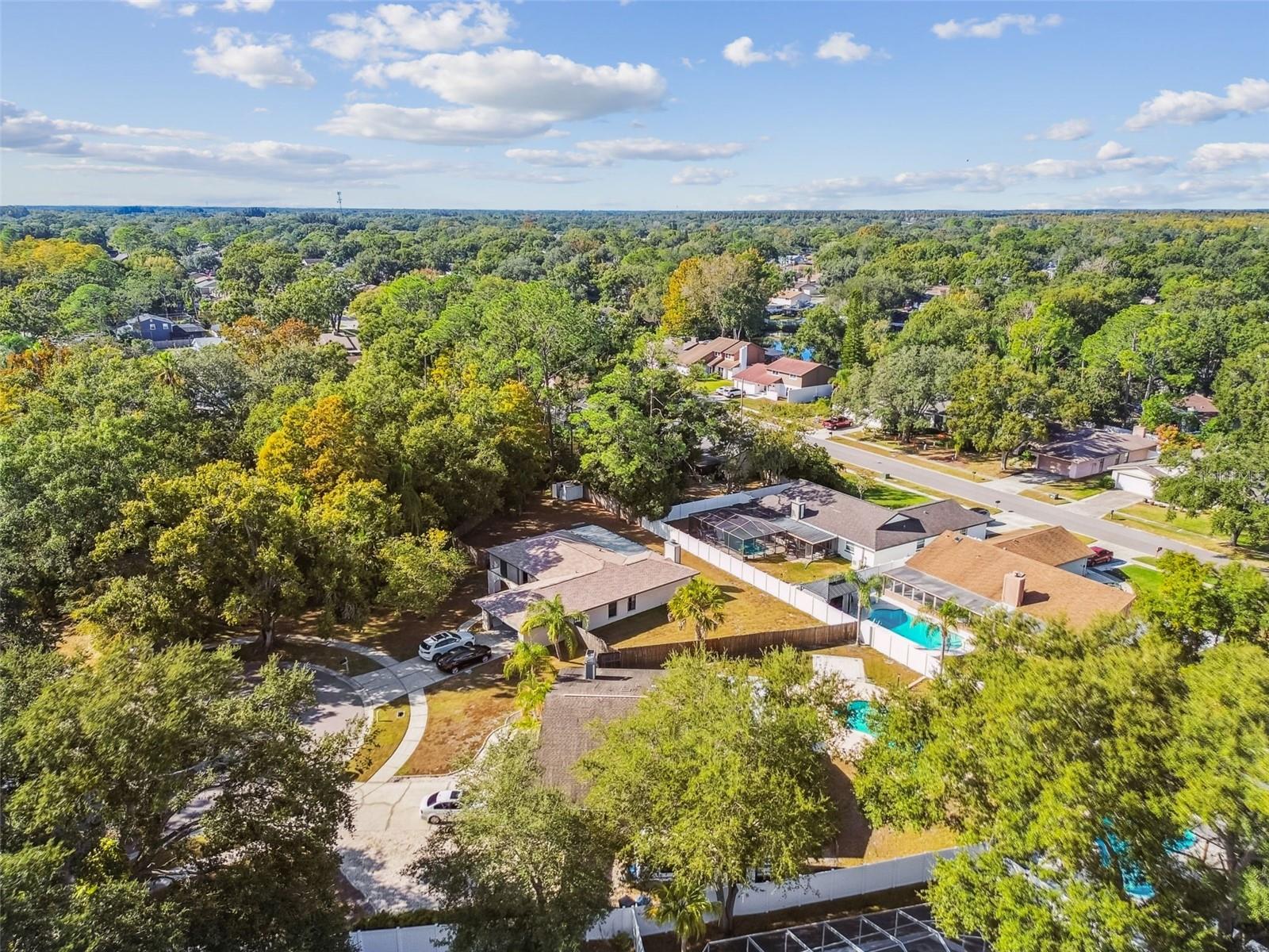 4603 GOLDBUD LN, TAMPA, FL, 33624