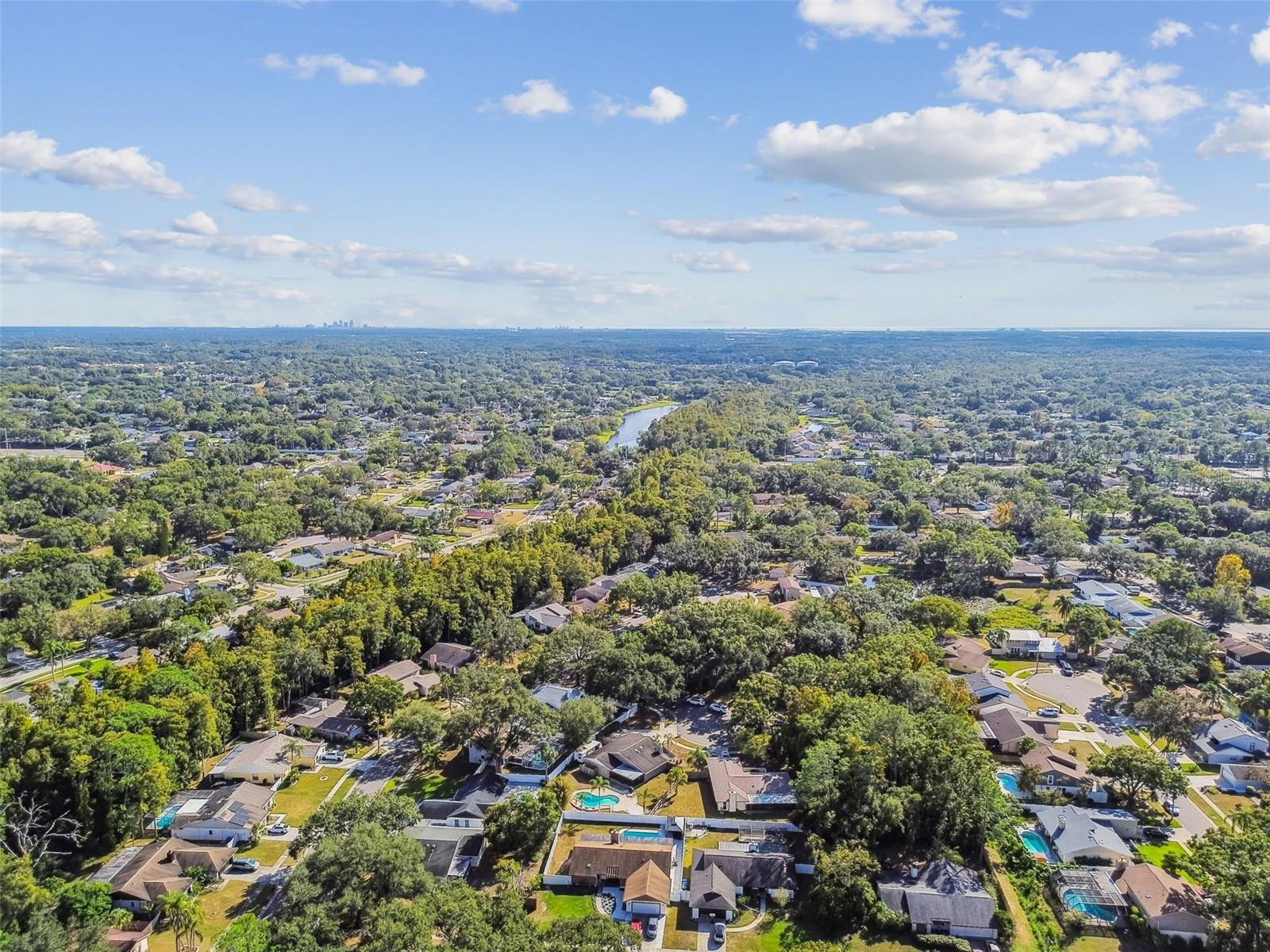 4603 GOLDBUD LN, TAMPA, FL, 33624